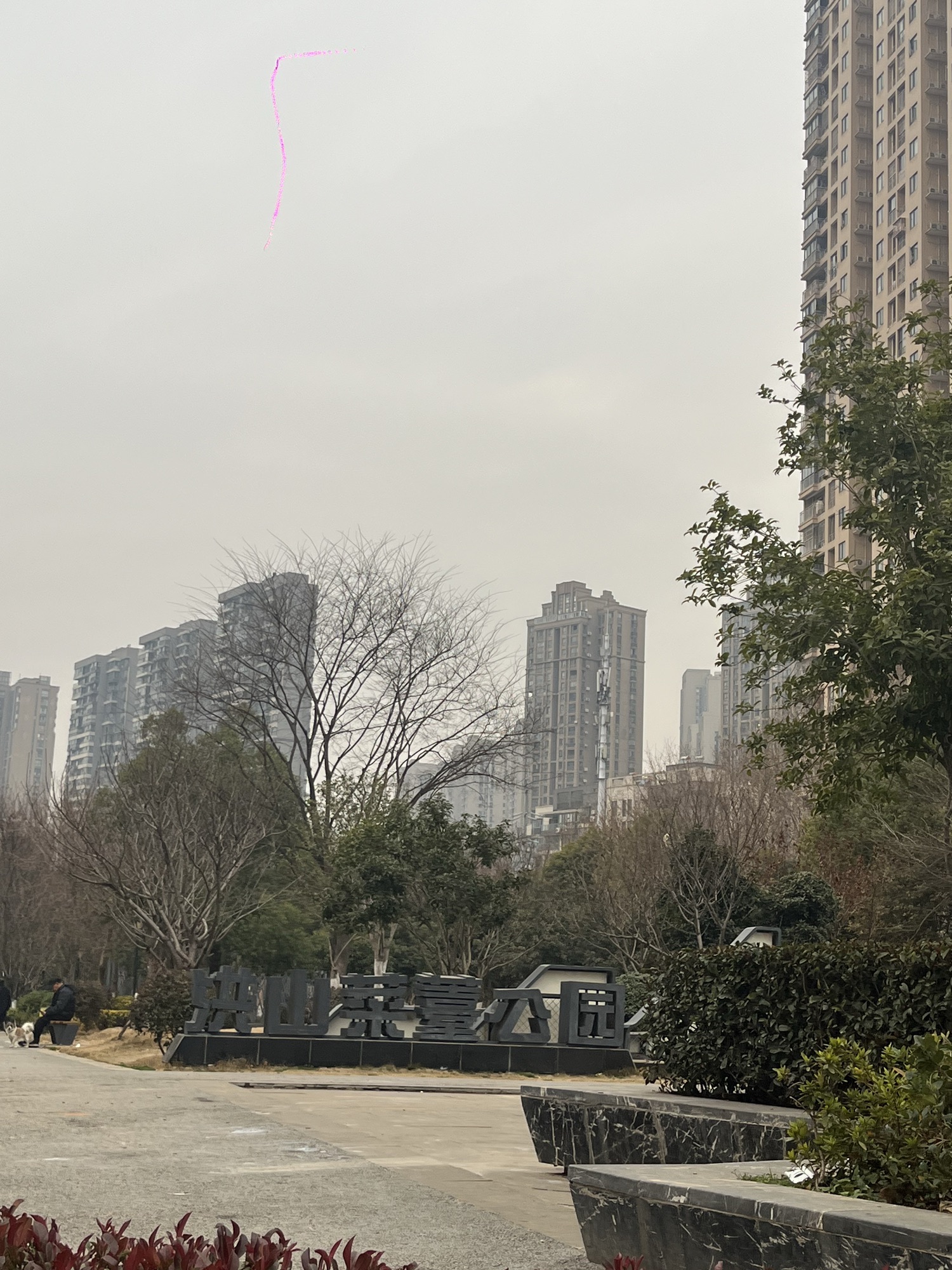 洪山菜薹公园旅行图片 1