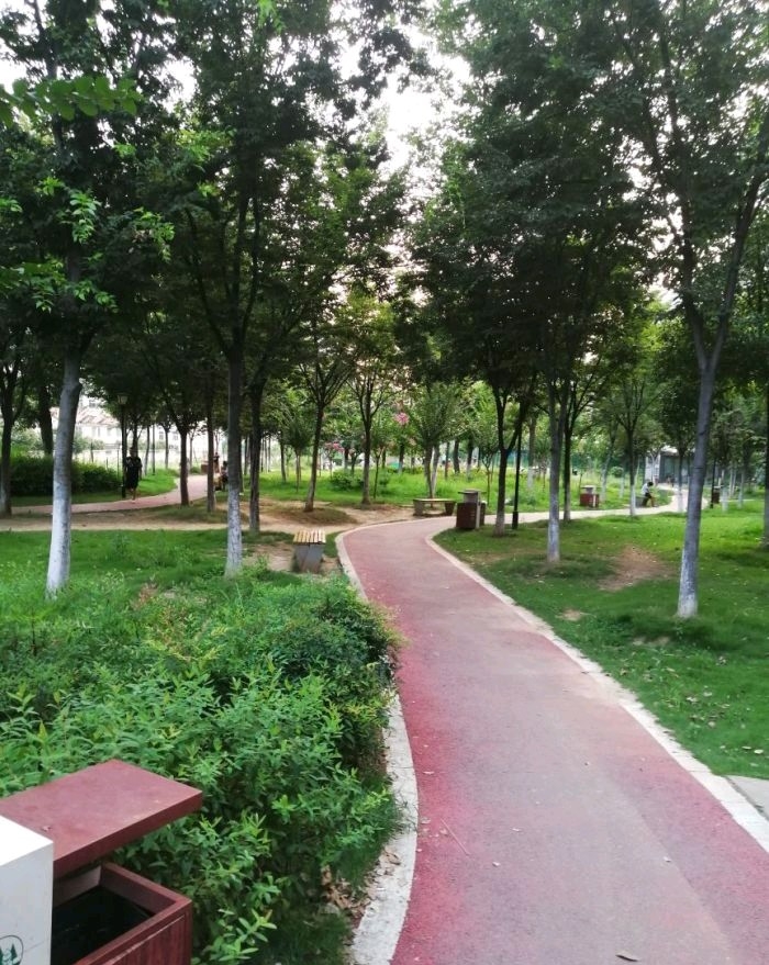 洪山菜薹公园旅行图片 2