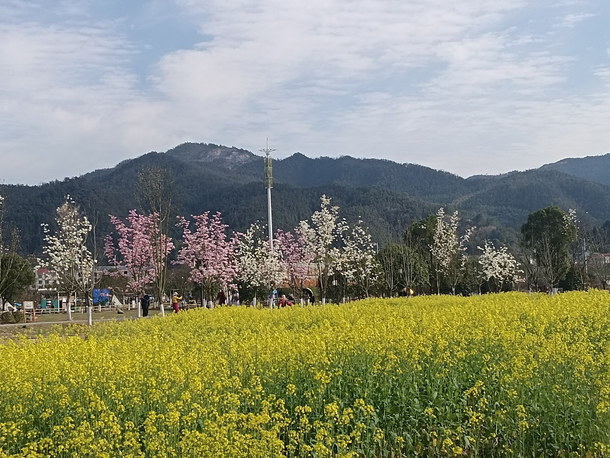 十里花溪湿地公园旅行图片 2