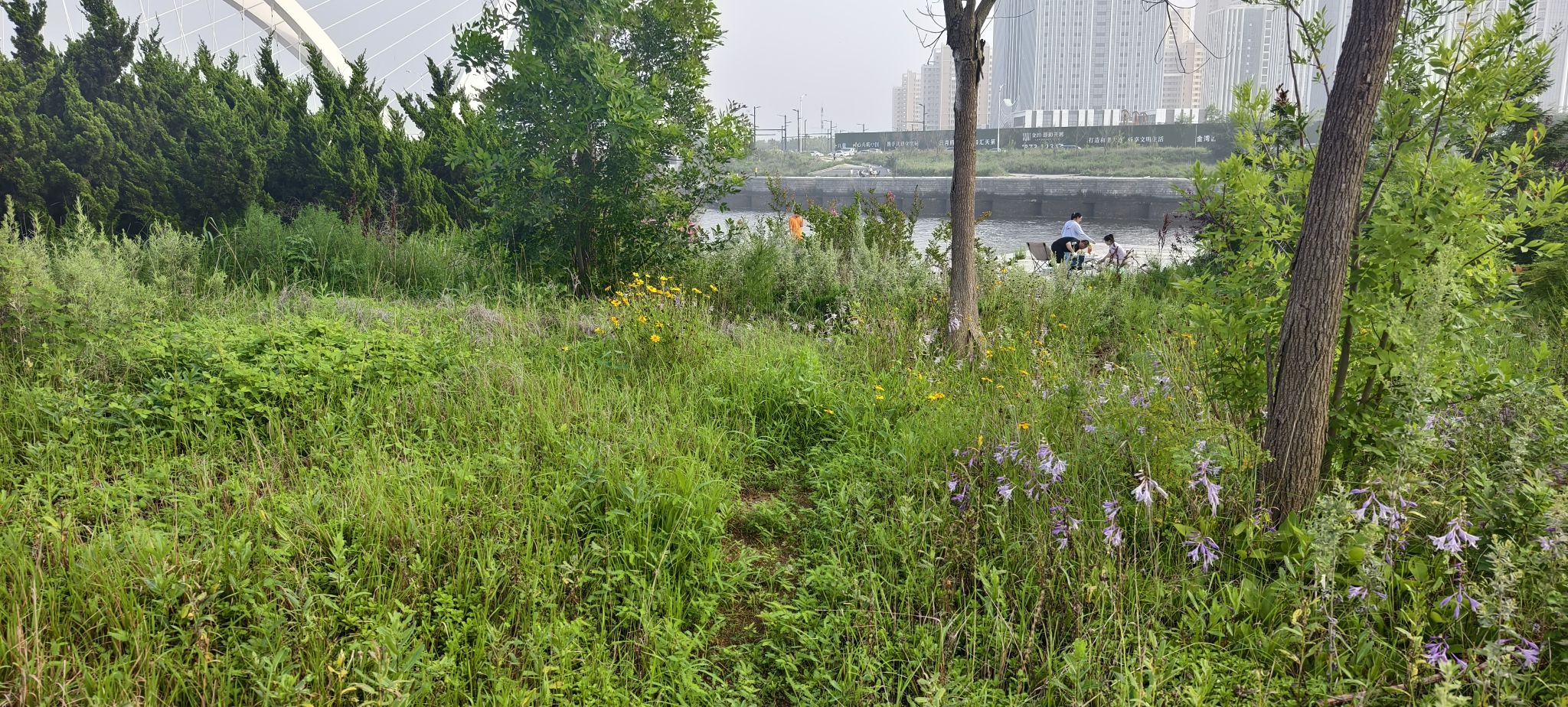 翔凤河公园旅行图片 2