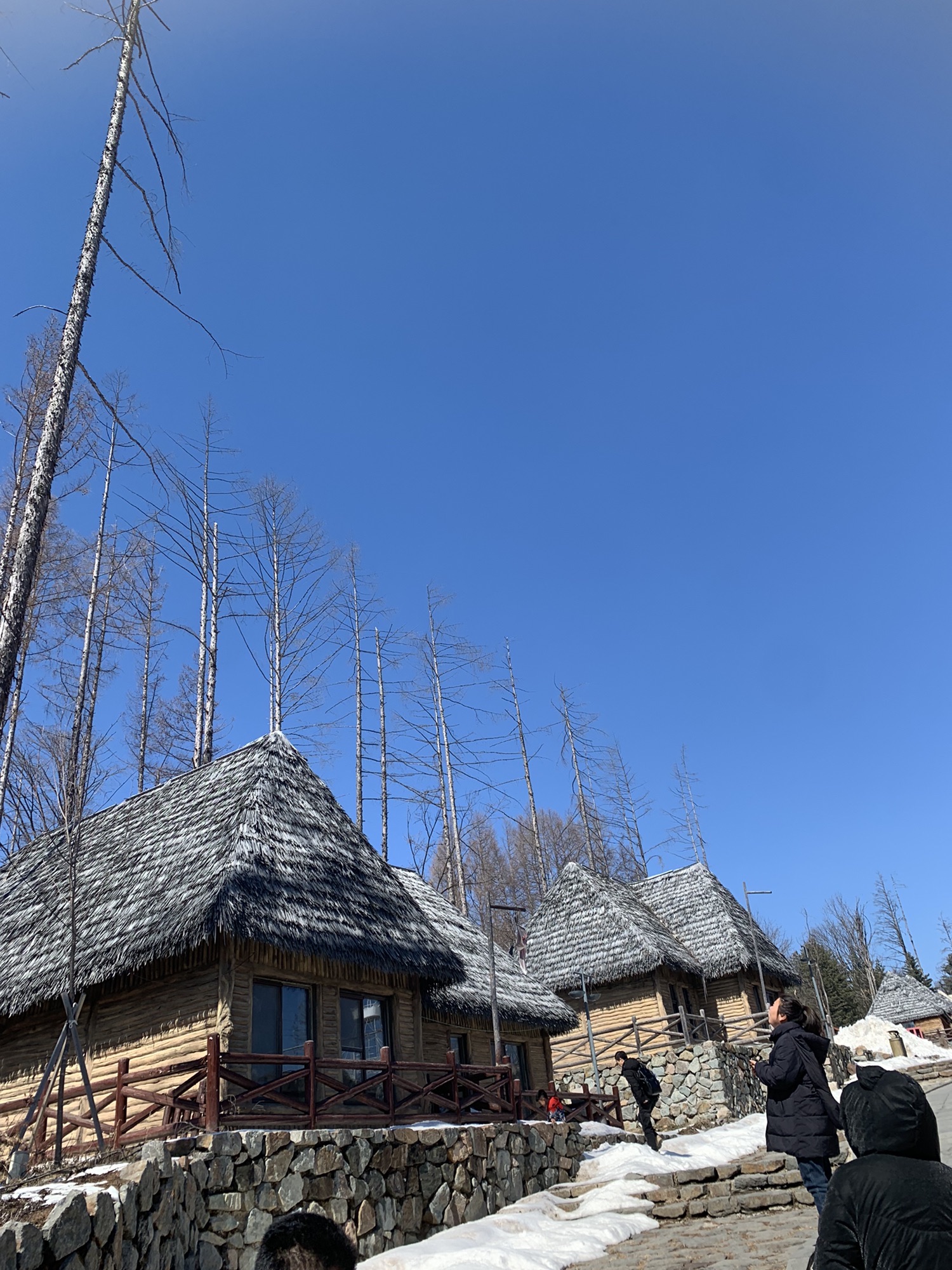 讷殷古城旅行图片 2
