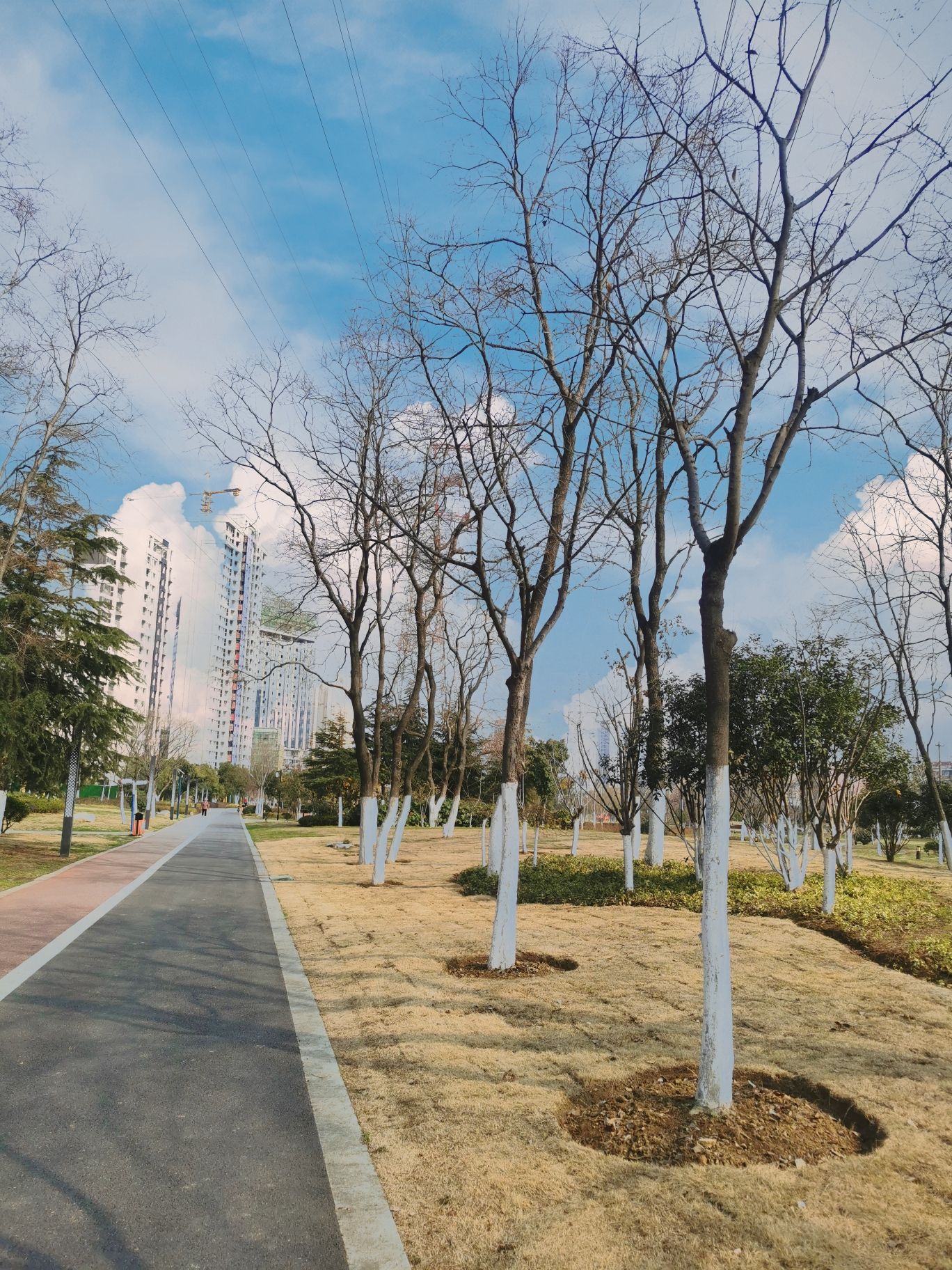 罍街公园旅行图片 3