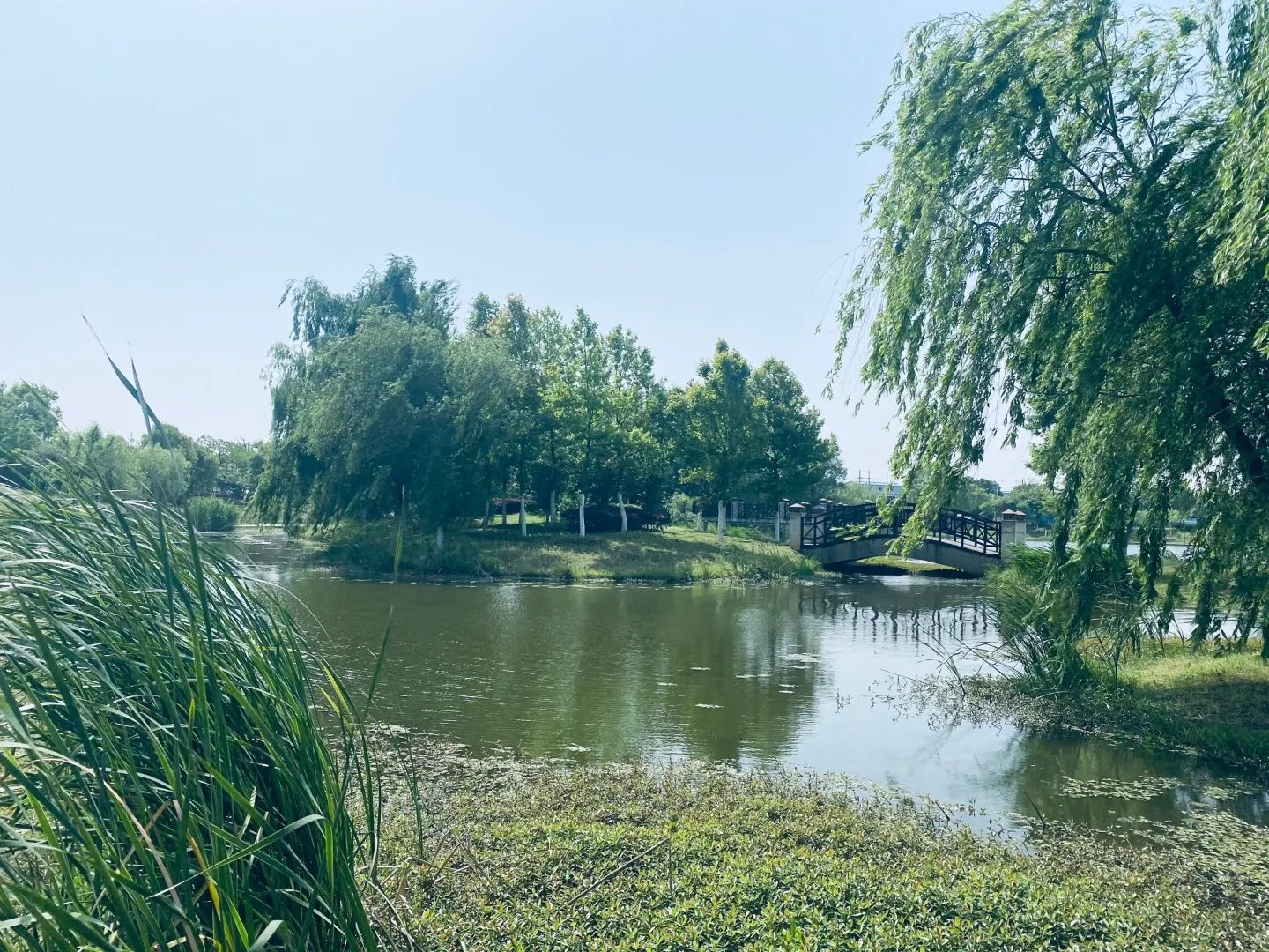 怀安河公园旅行图片 1