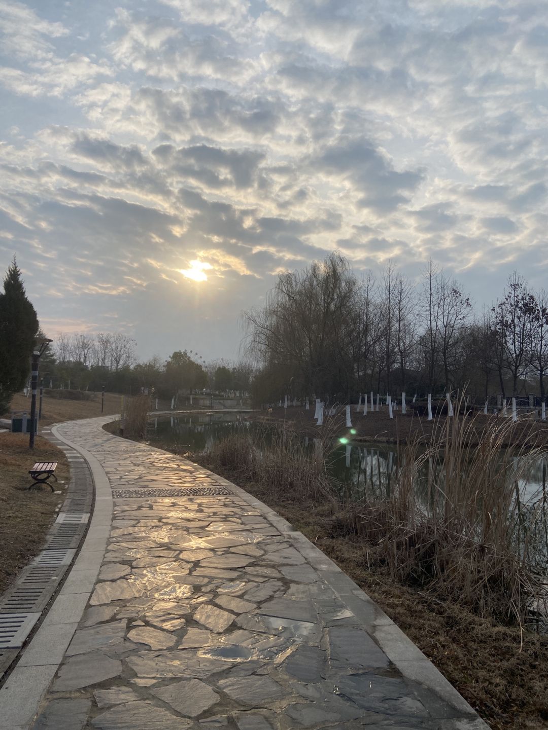 怀安河公园旅行图片 1