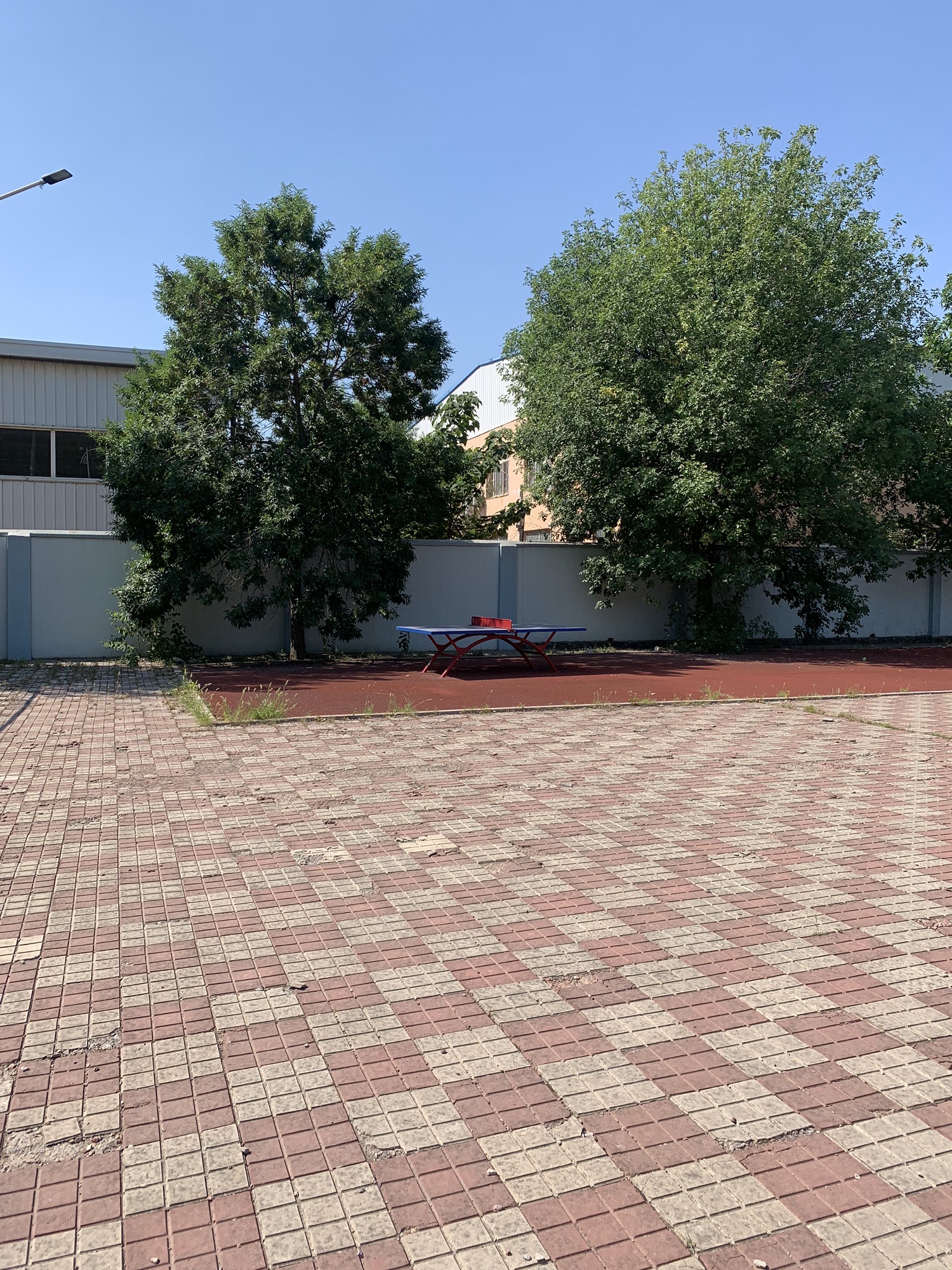 中华埠社区运动公园旅行图片 2