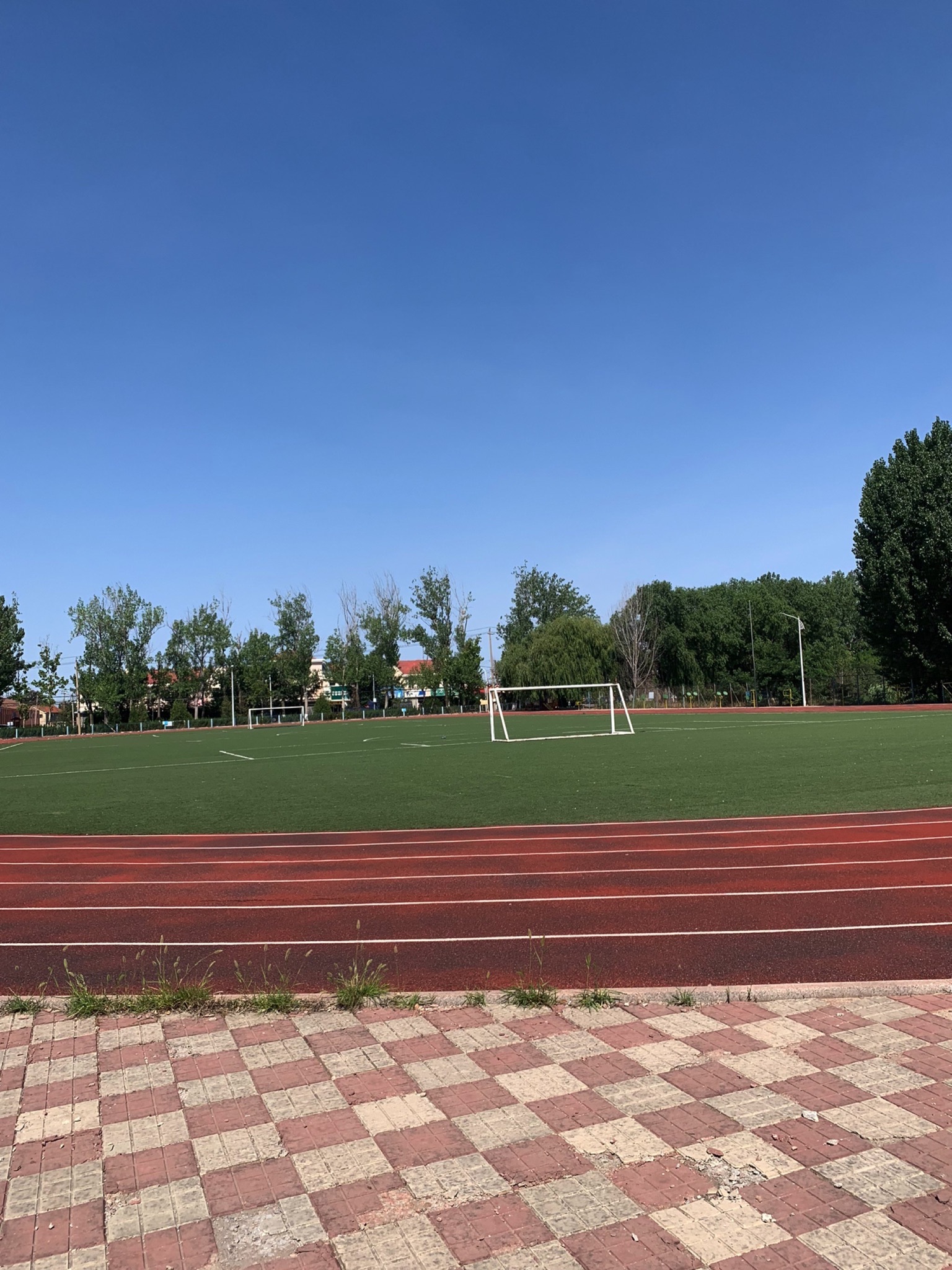 中华埠社区运动公园旅行图片