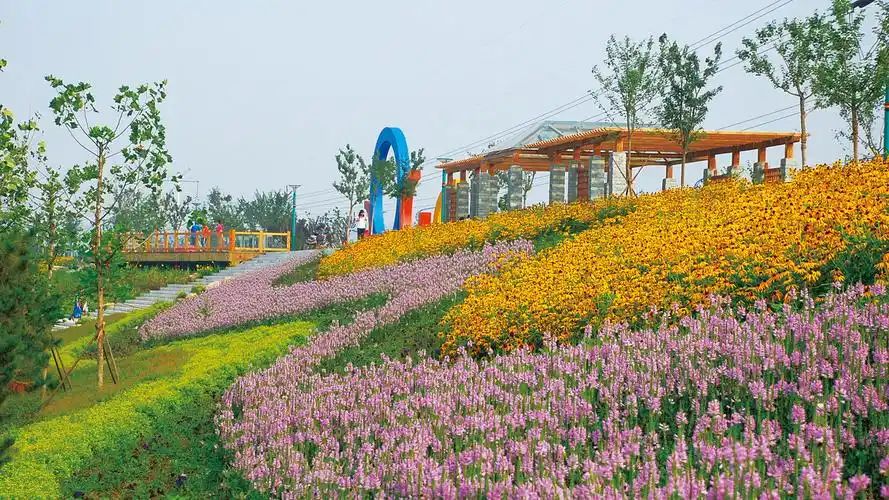 滦河湿地公园旅行图片 1