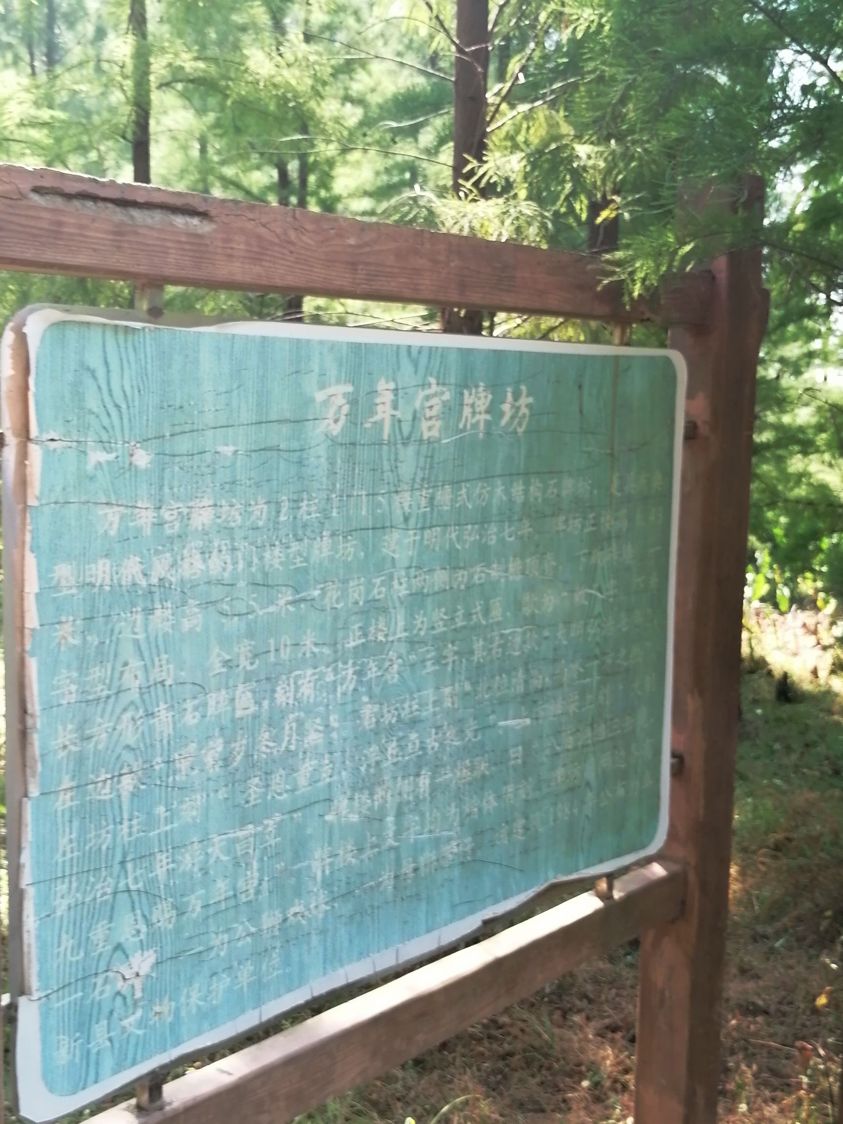 高安市华林山风景名胜区旅行图片 3