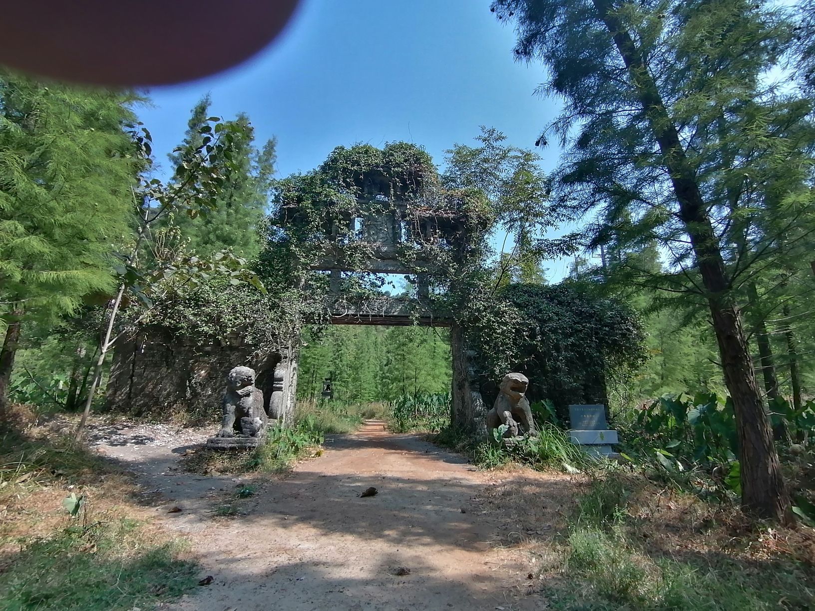 高安市华林山风景名胜区旅行图片 2