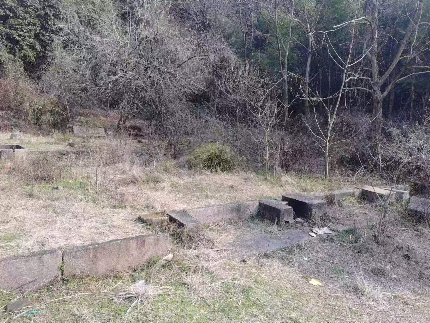 高安市华林山风景名胜区旅行图片 2