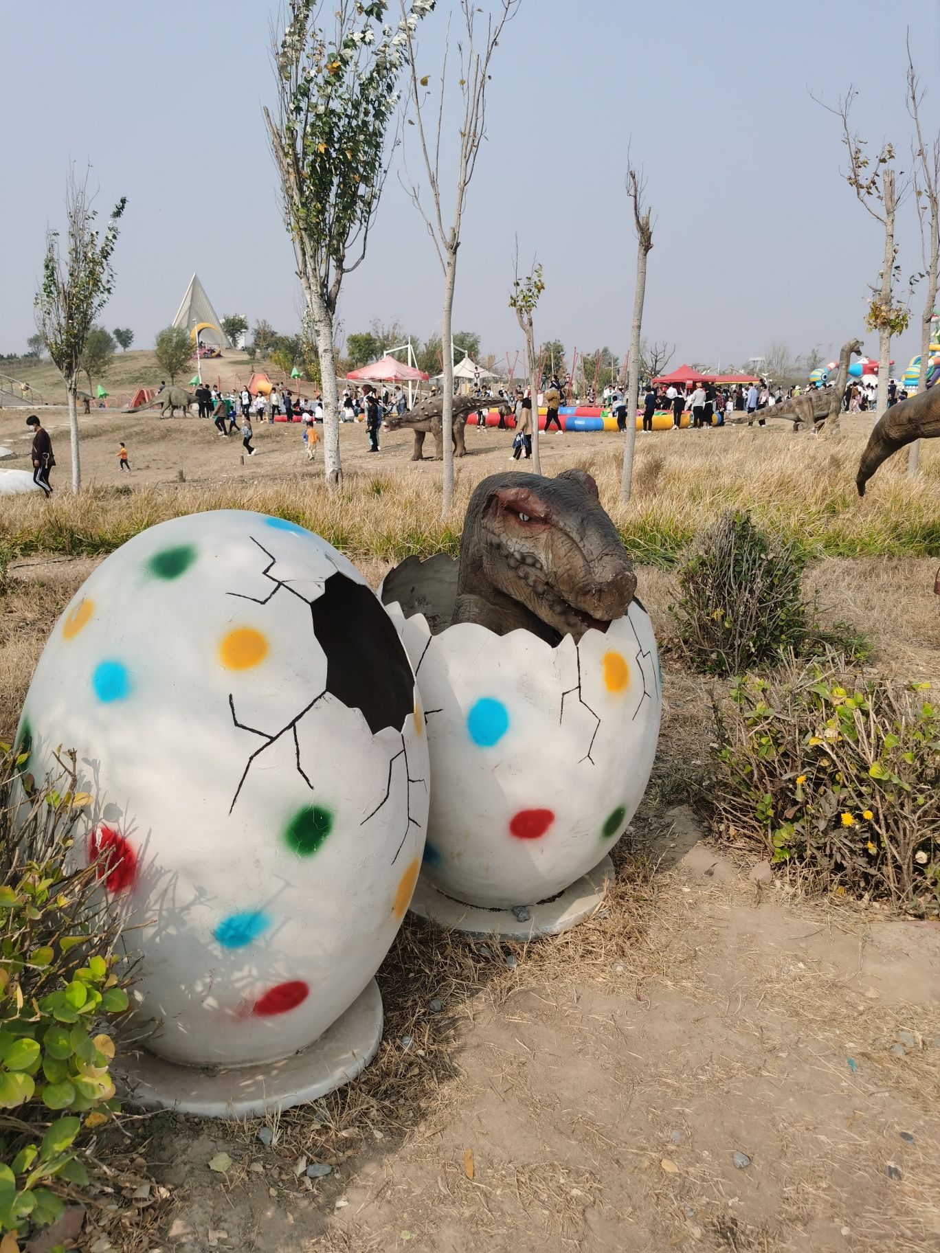 沧东生态公园旅行图片 2