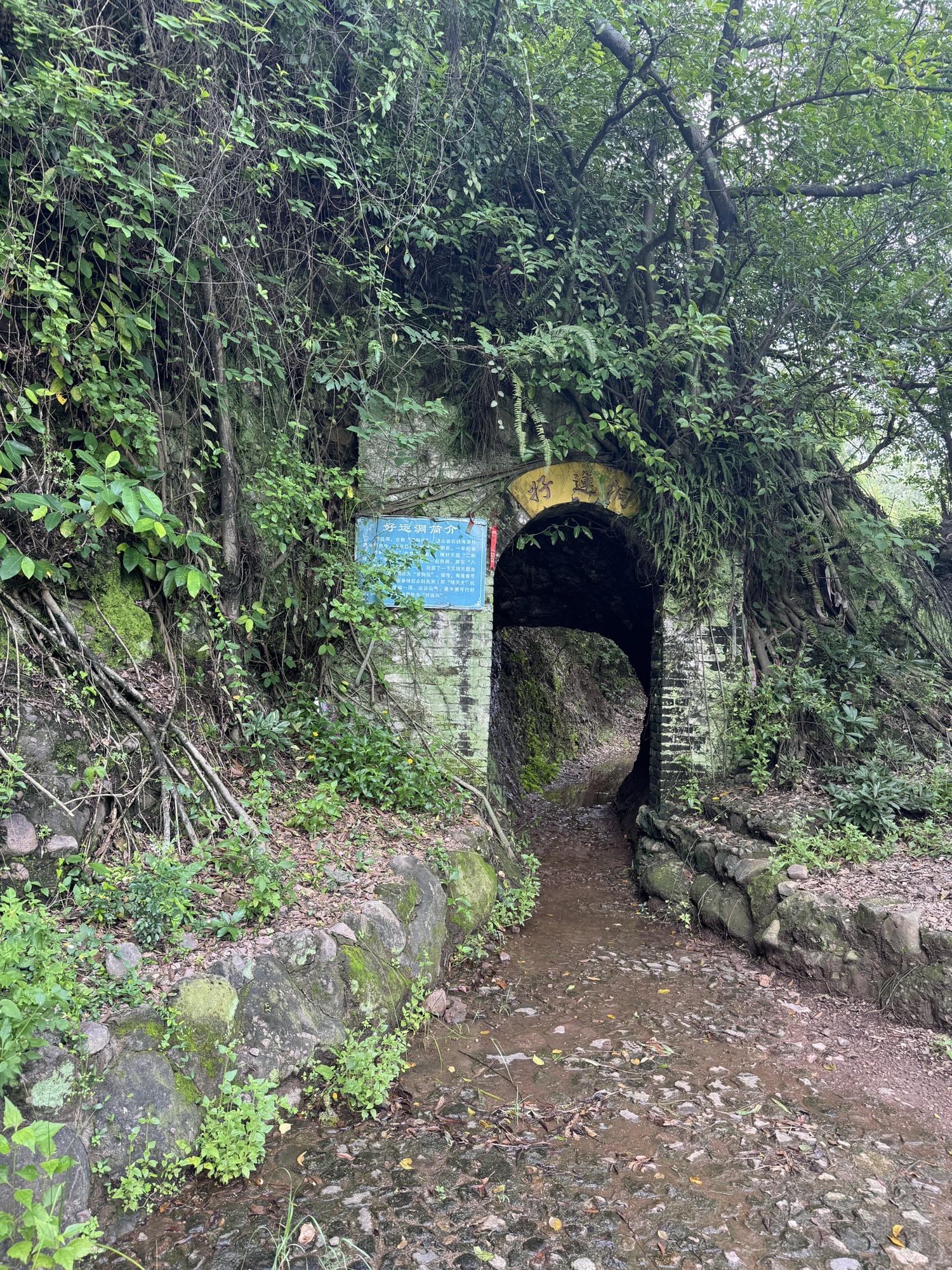 广东中山黄圃省级地质公园