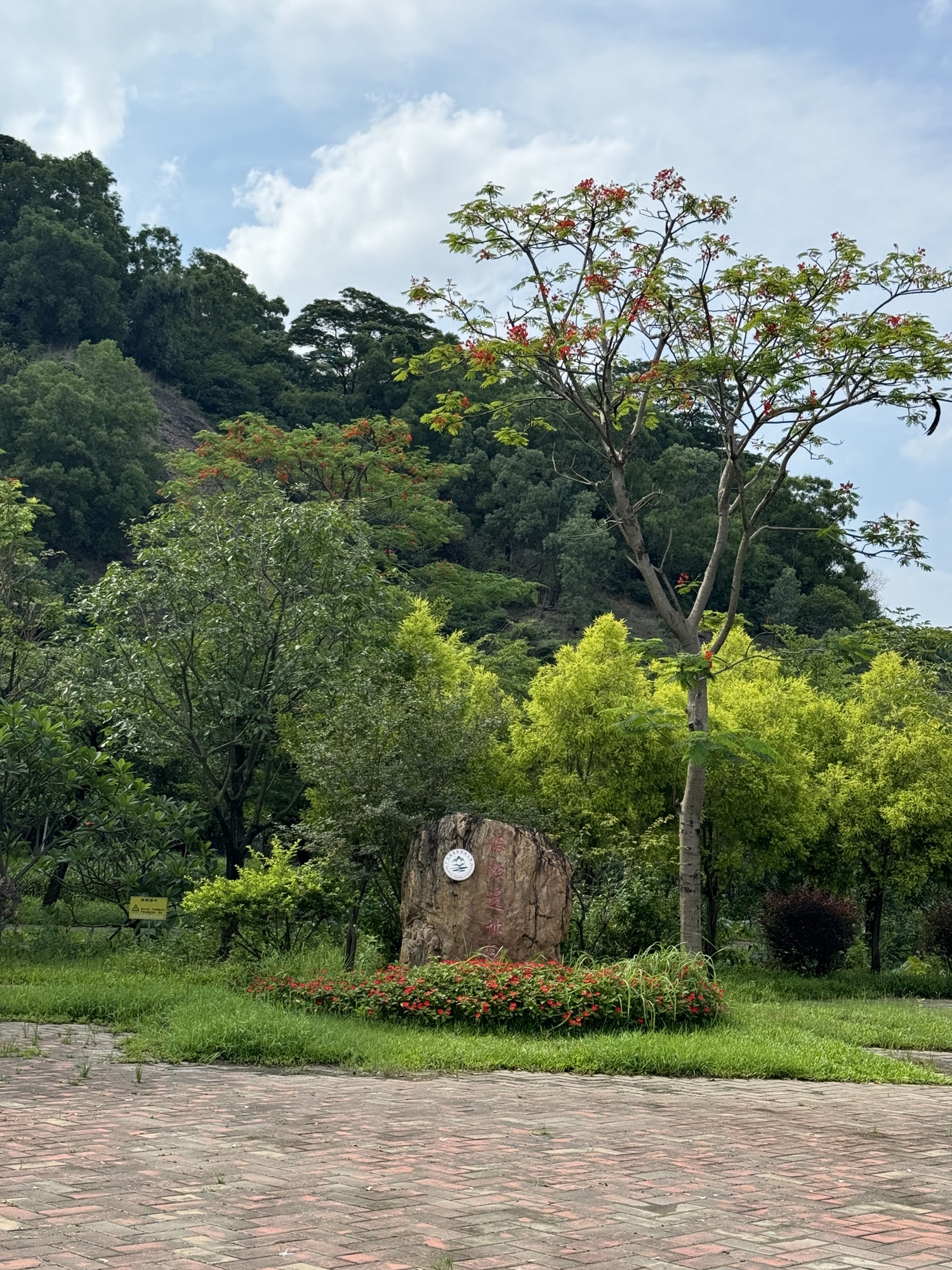 广东中山黄圃省级地质公园