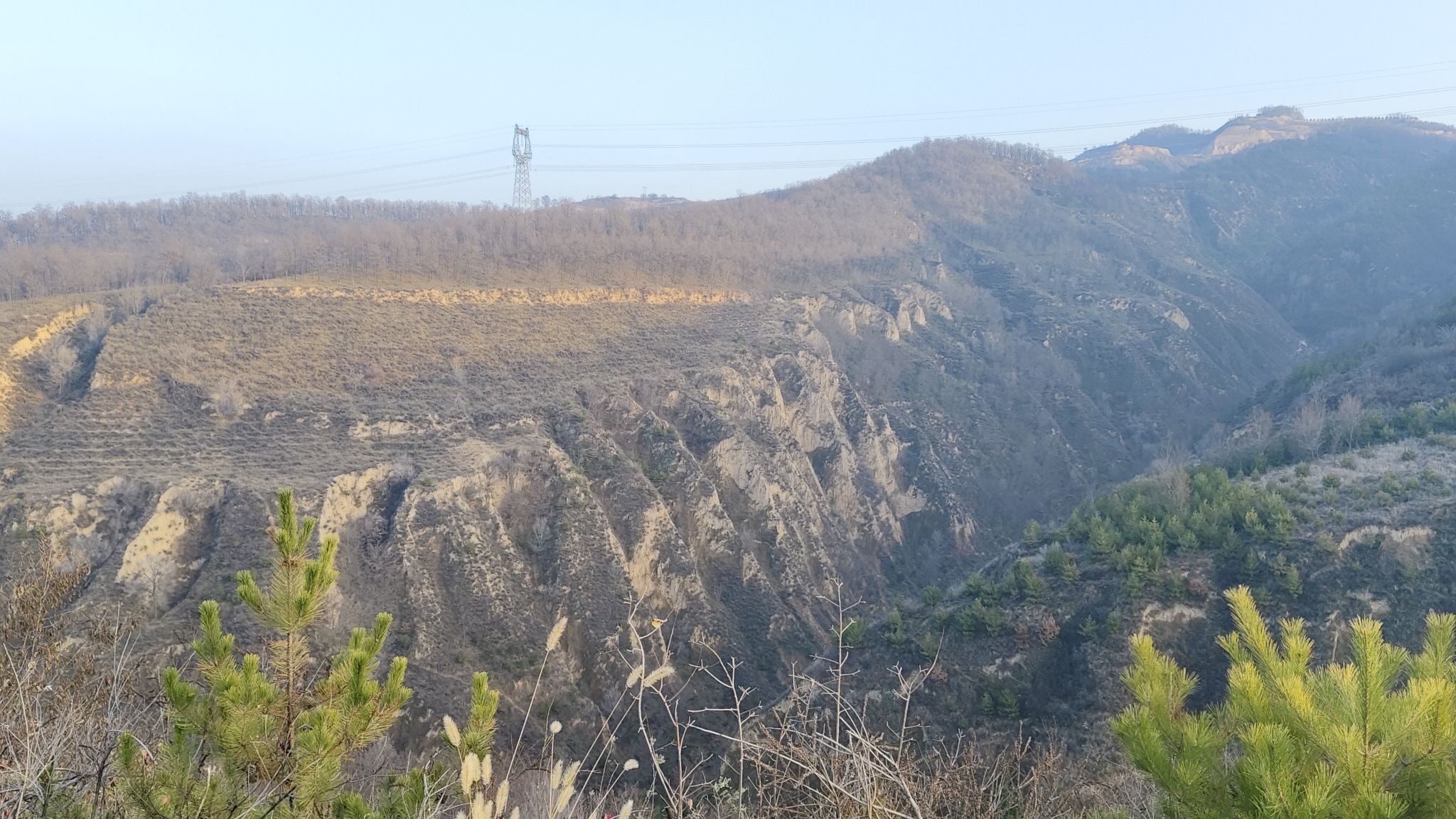 离石区森林公园旅行图片 3