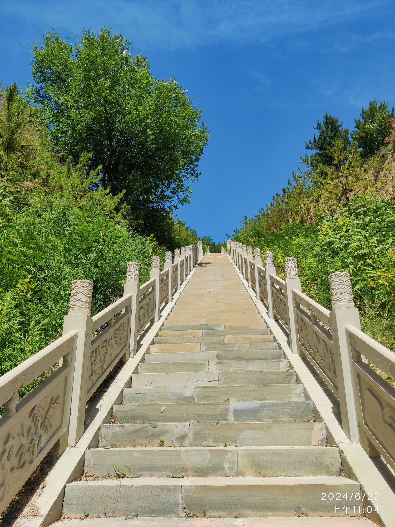 离石区森林公园旅行图片 1
