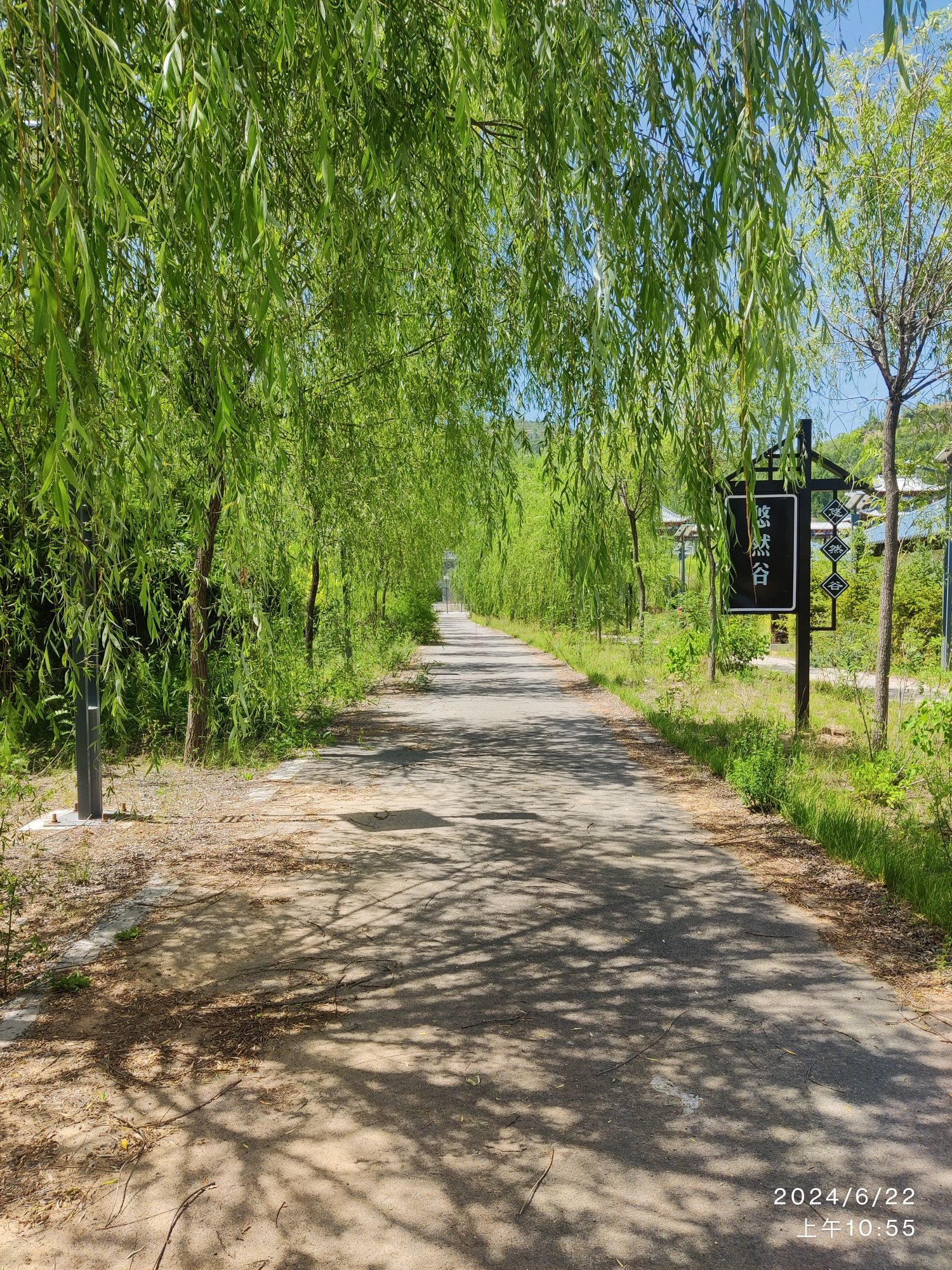 离石区森林公园旅行图片 3