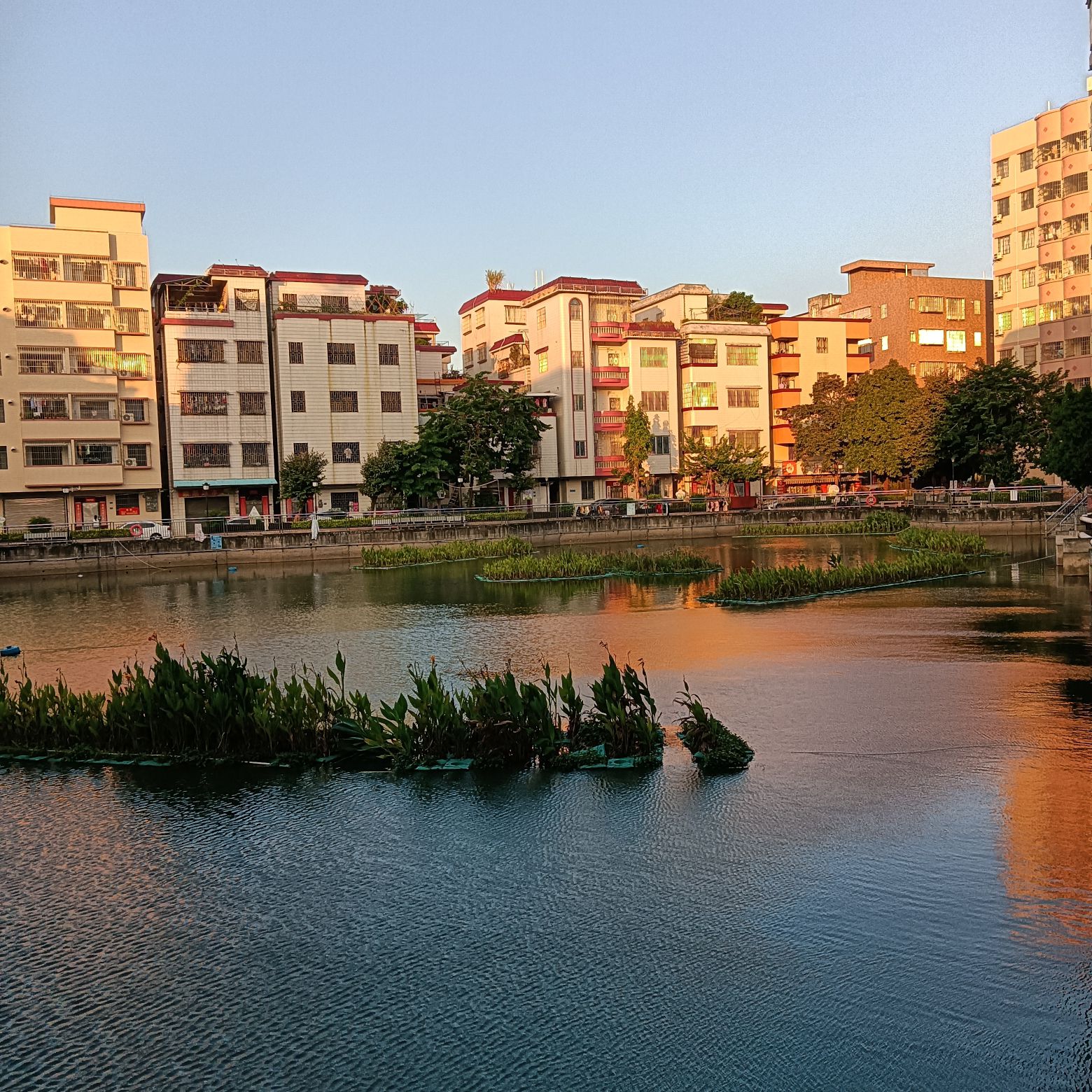明星公园旅行图片