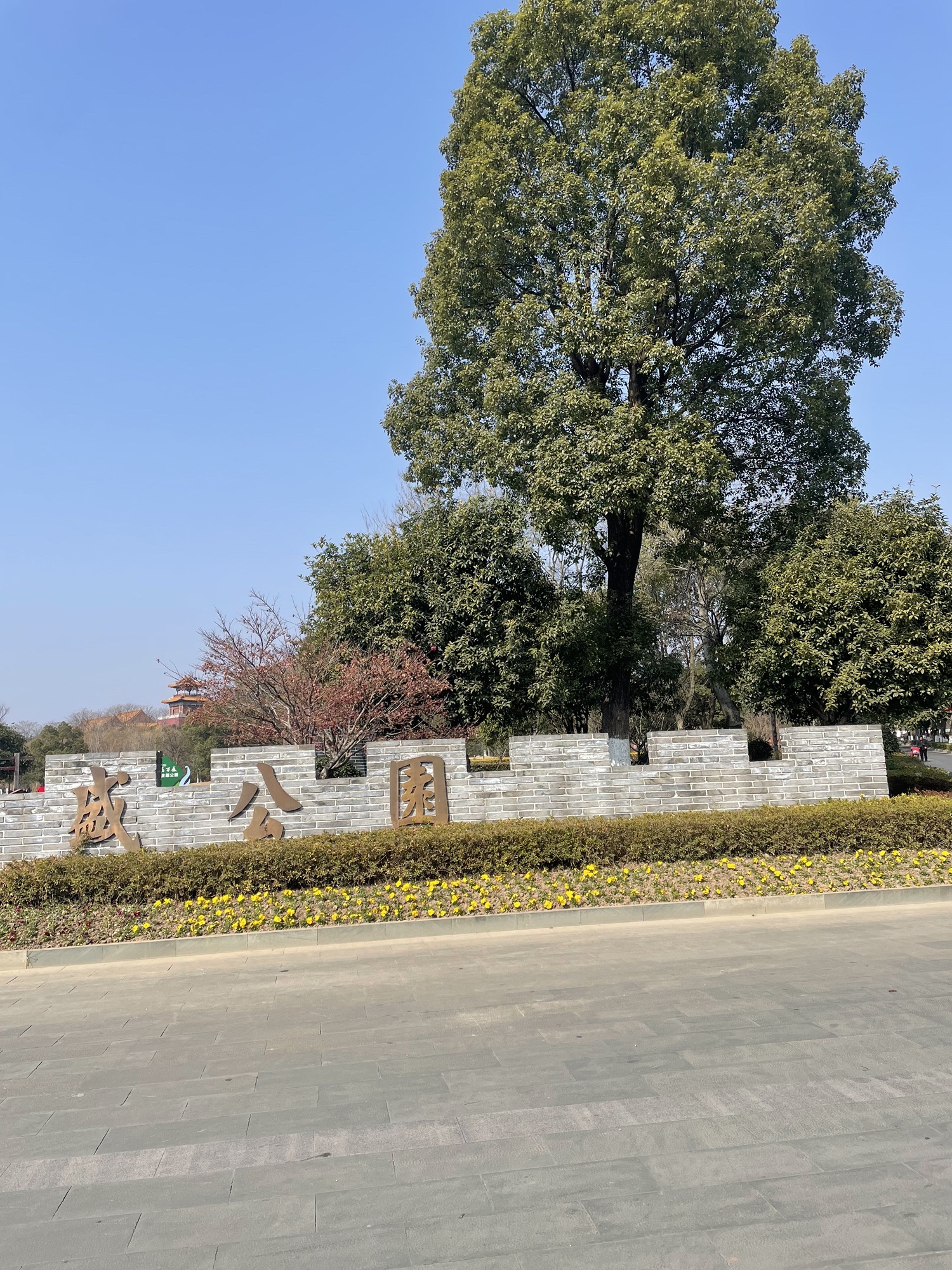 万盛公园旅行图片 2