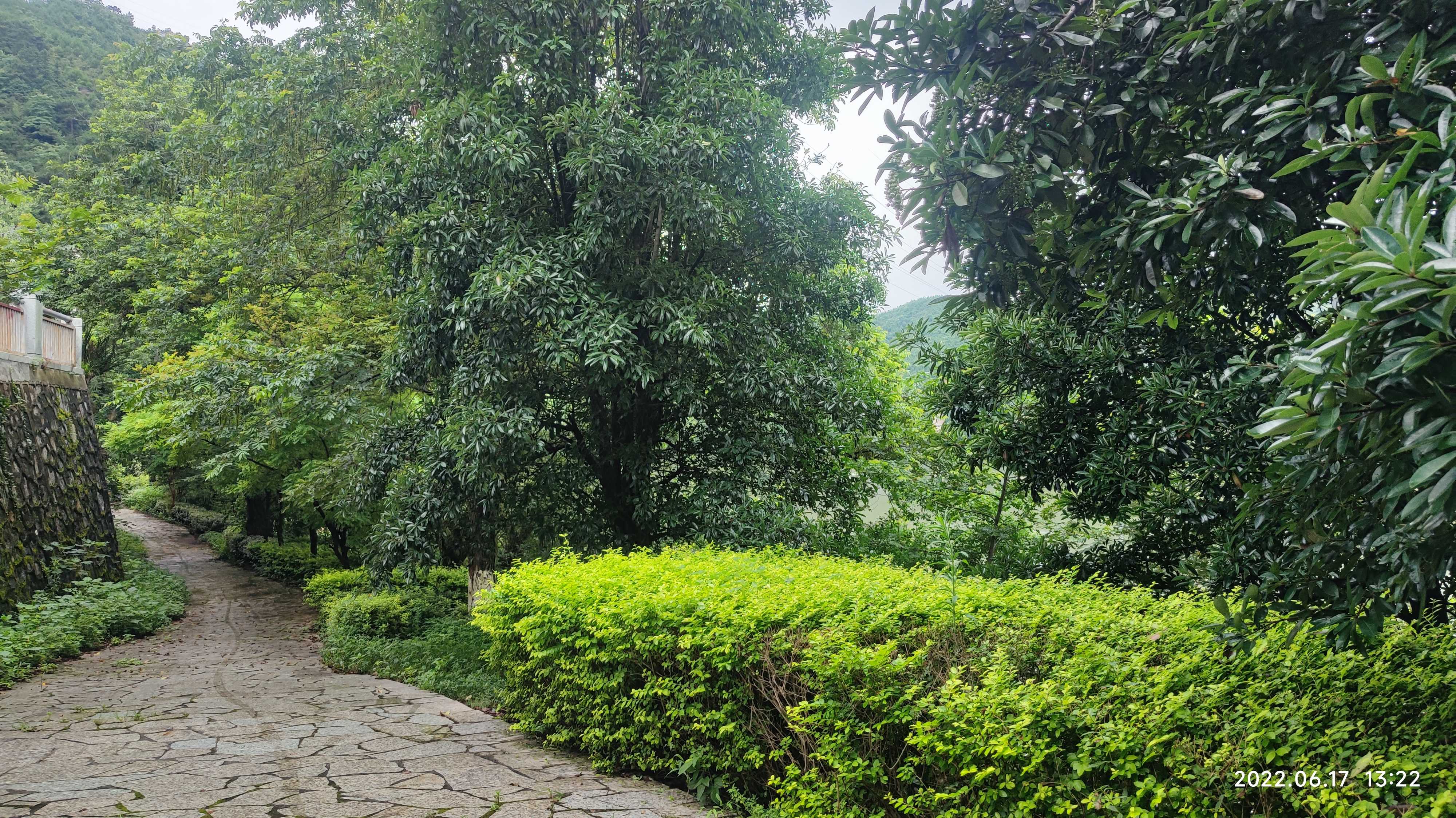 洣水环流风光带旅行图片 2