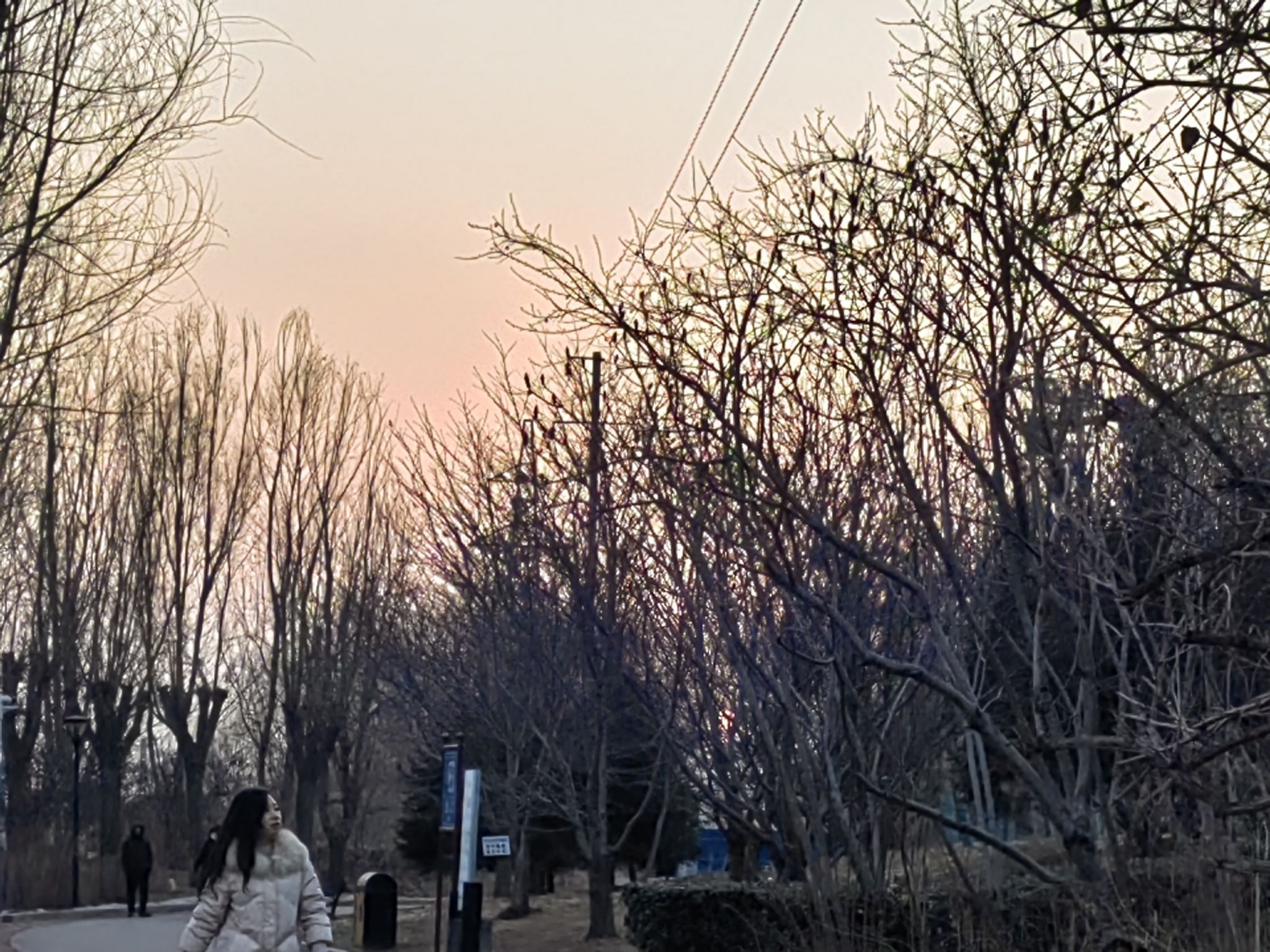 汇文公园旅行图片