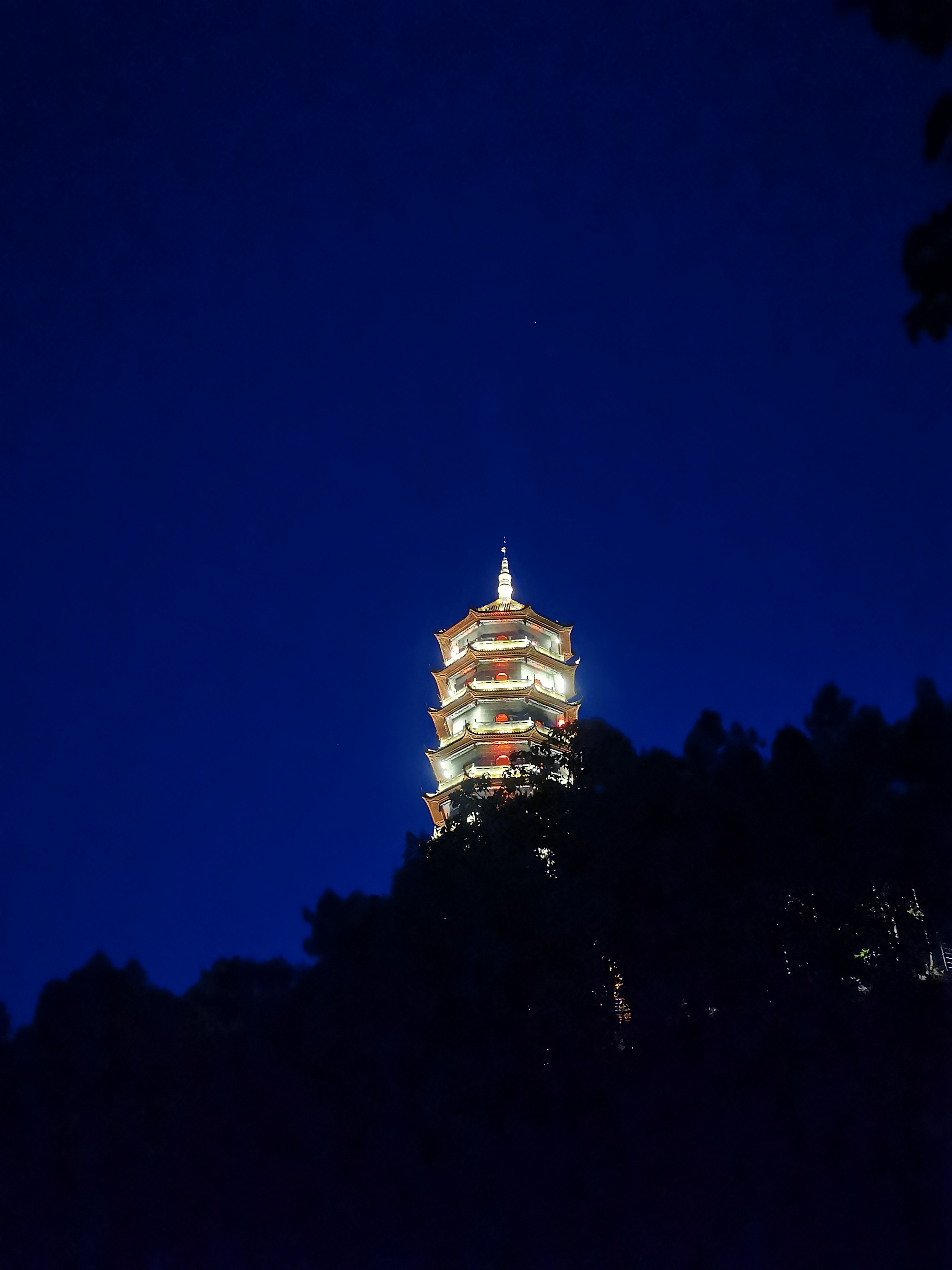 楚文塔旅行图片 3