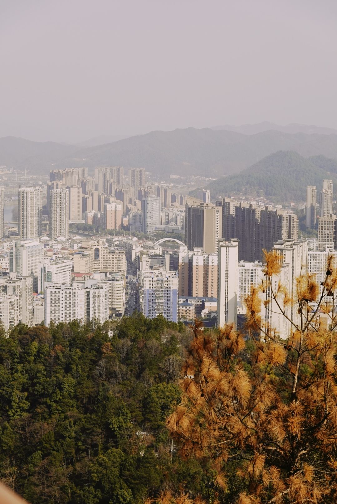 楚文塔旅行图片 3
