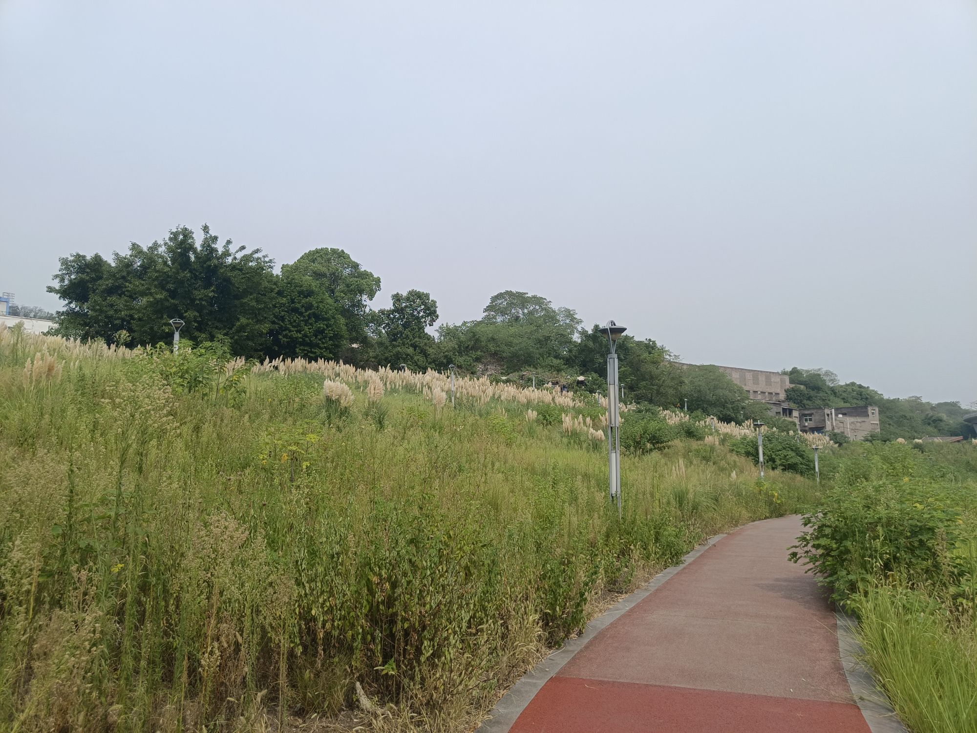 草海湾公园旅行图片 2