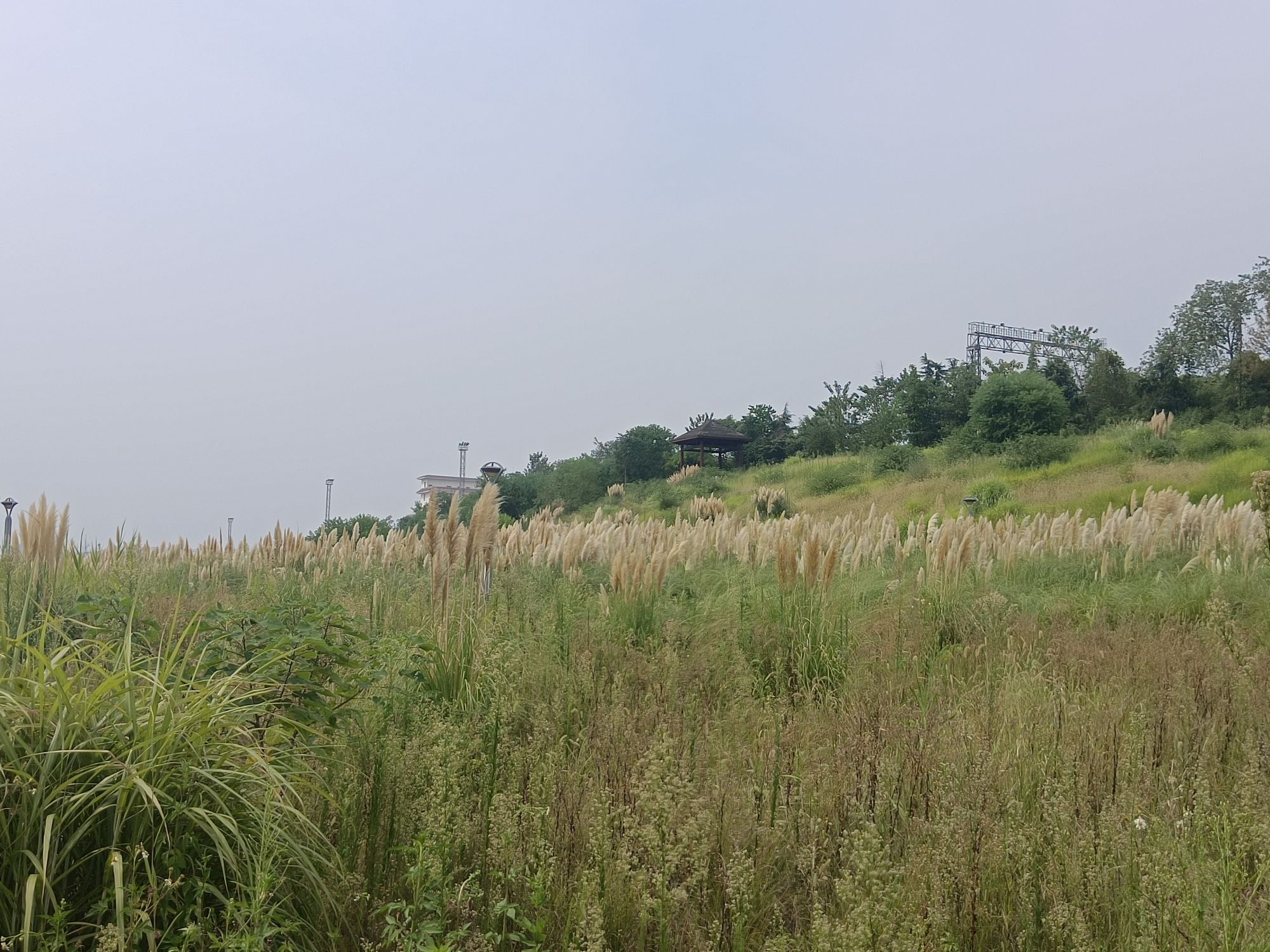 草海湾公园旅行图片 3