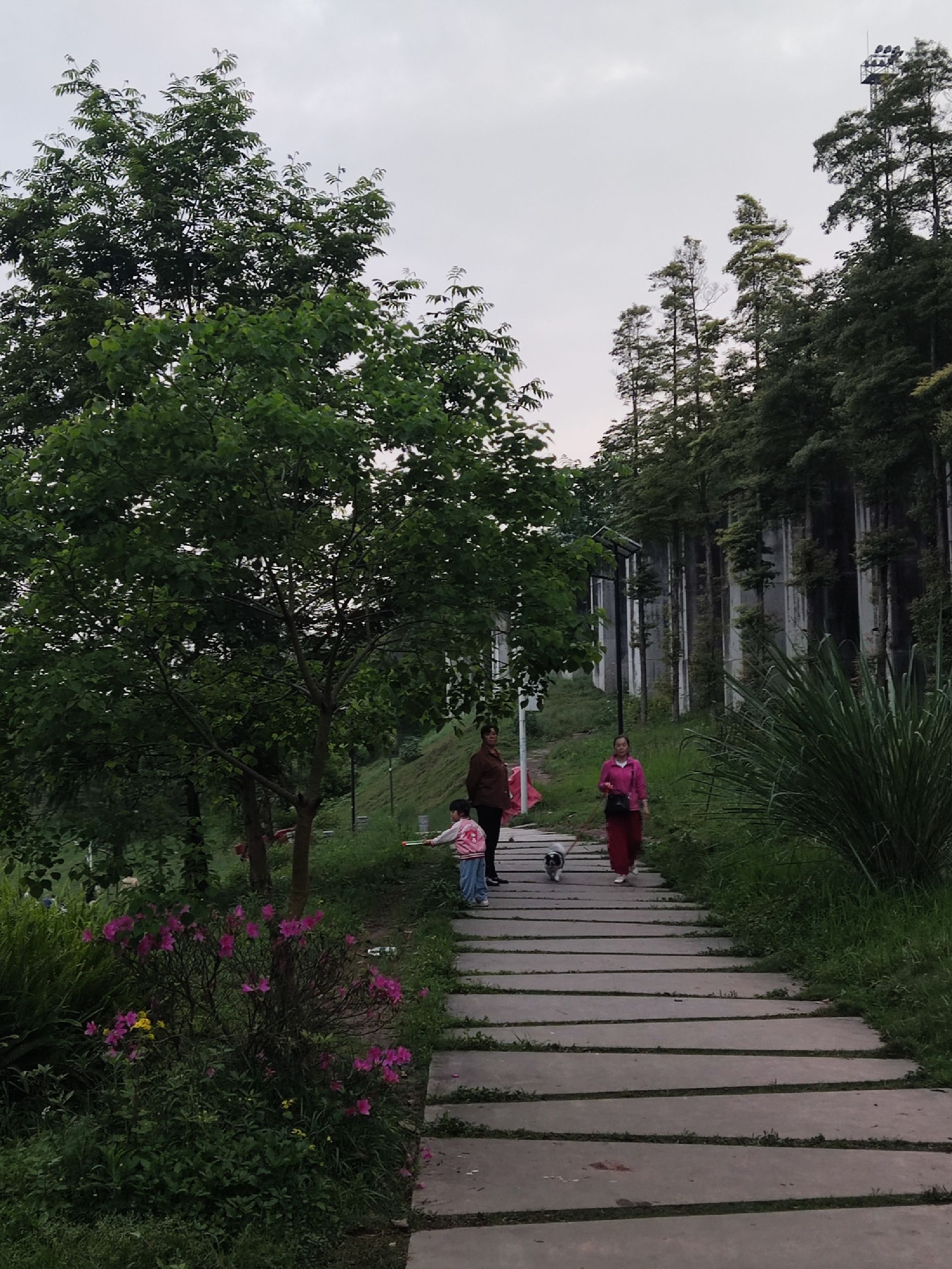 草海湾公园旅行图片 1