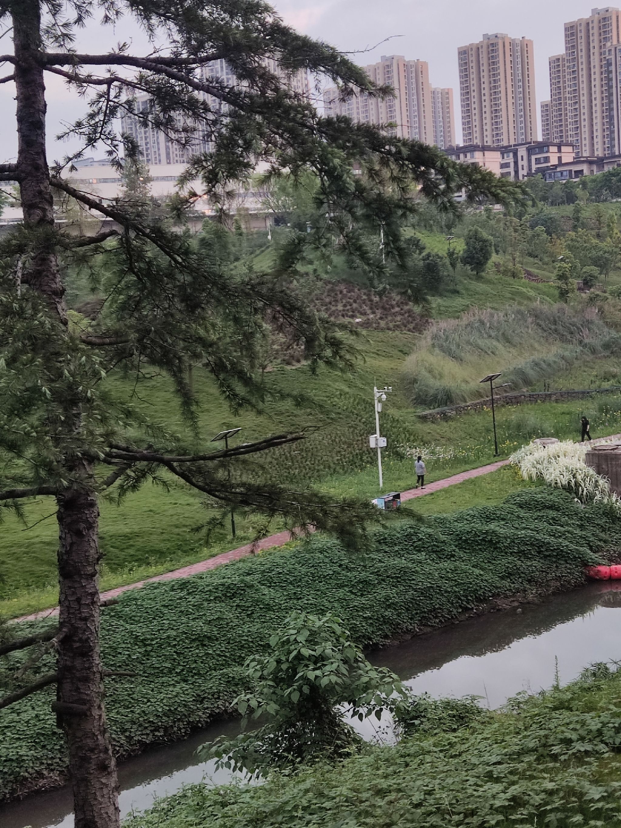 草海湾公园旅行图片 3