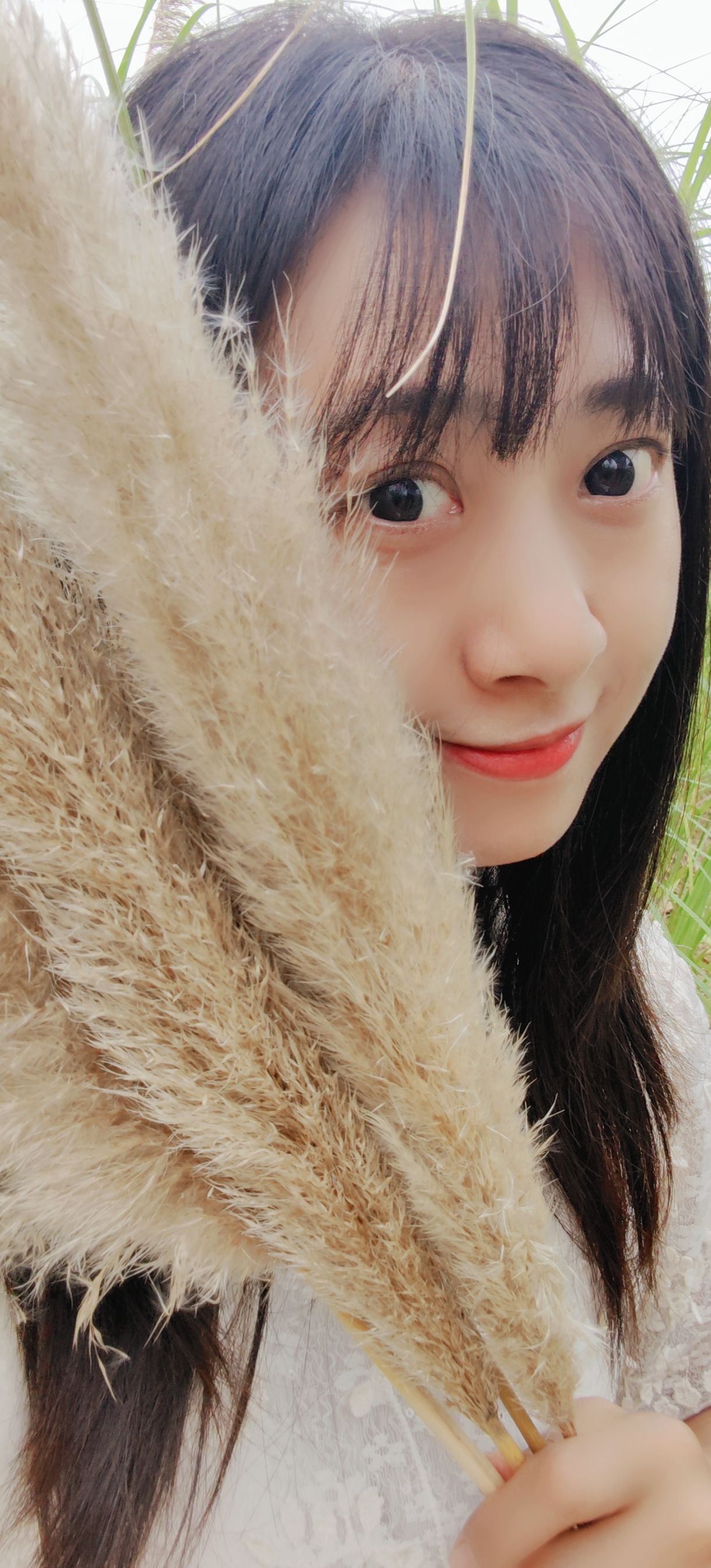 草海湾公园旅行图片 1