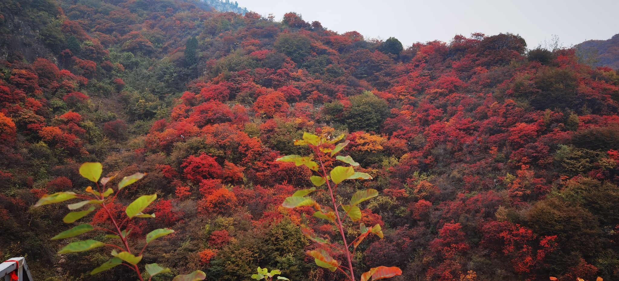 天赐山景区旅行图片 3