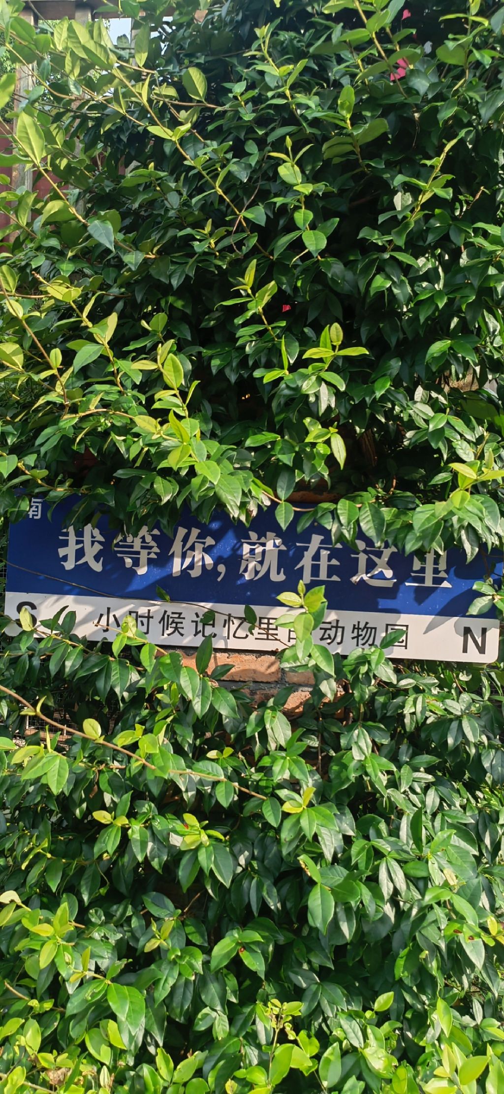 怀化野生动植物园旅行图片 1