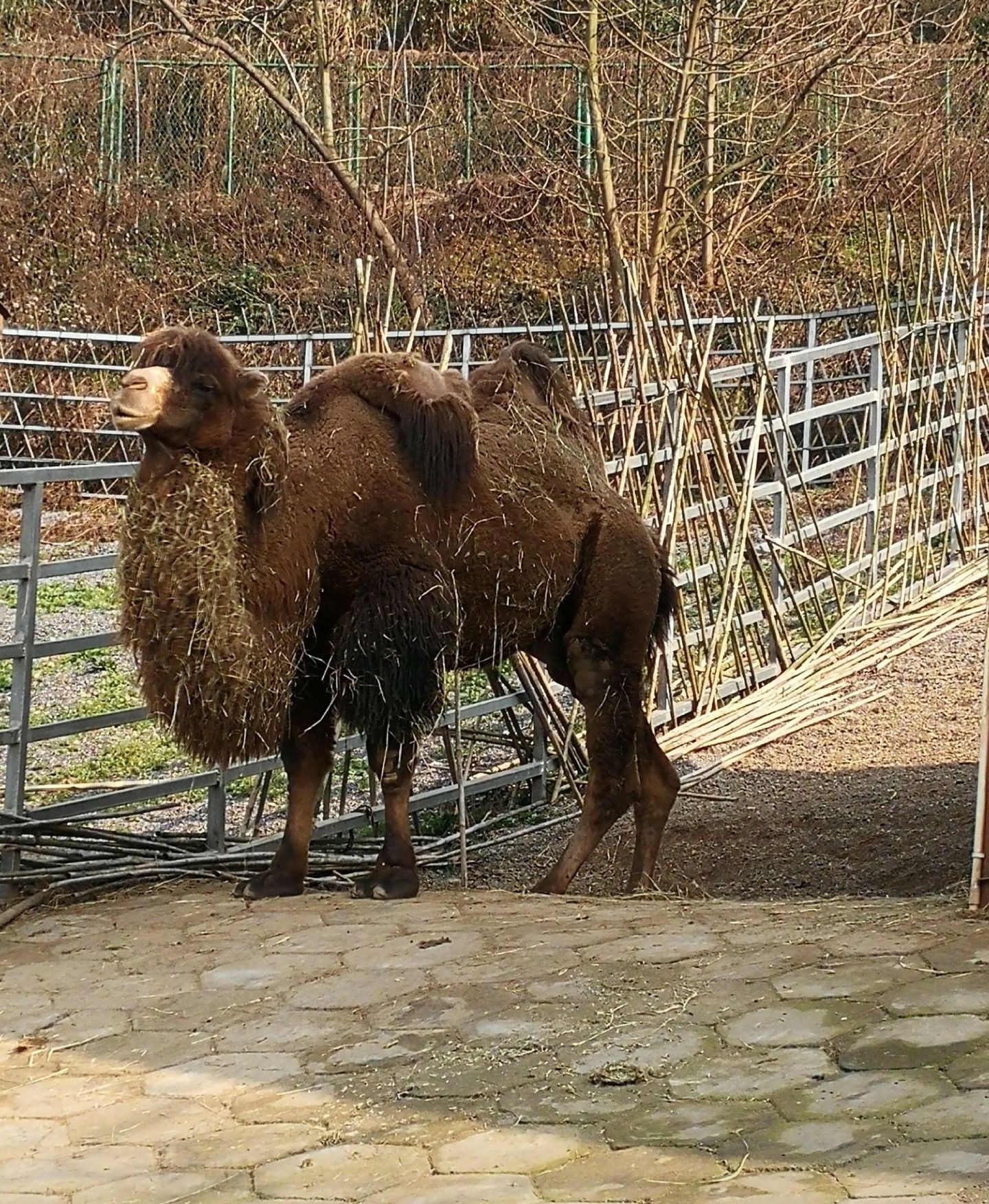 怀化野生动植物园旅行图片 2