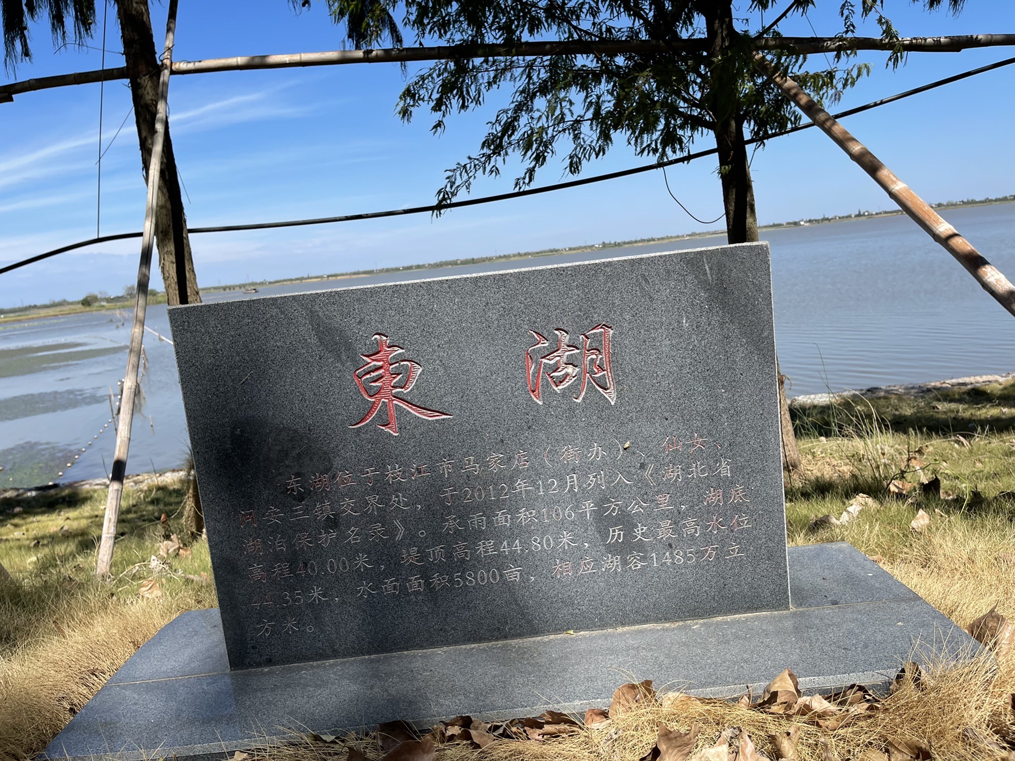 湖北枝江金湖国家湿地公园