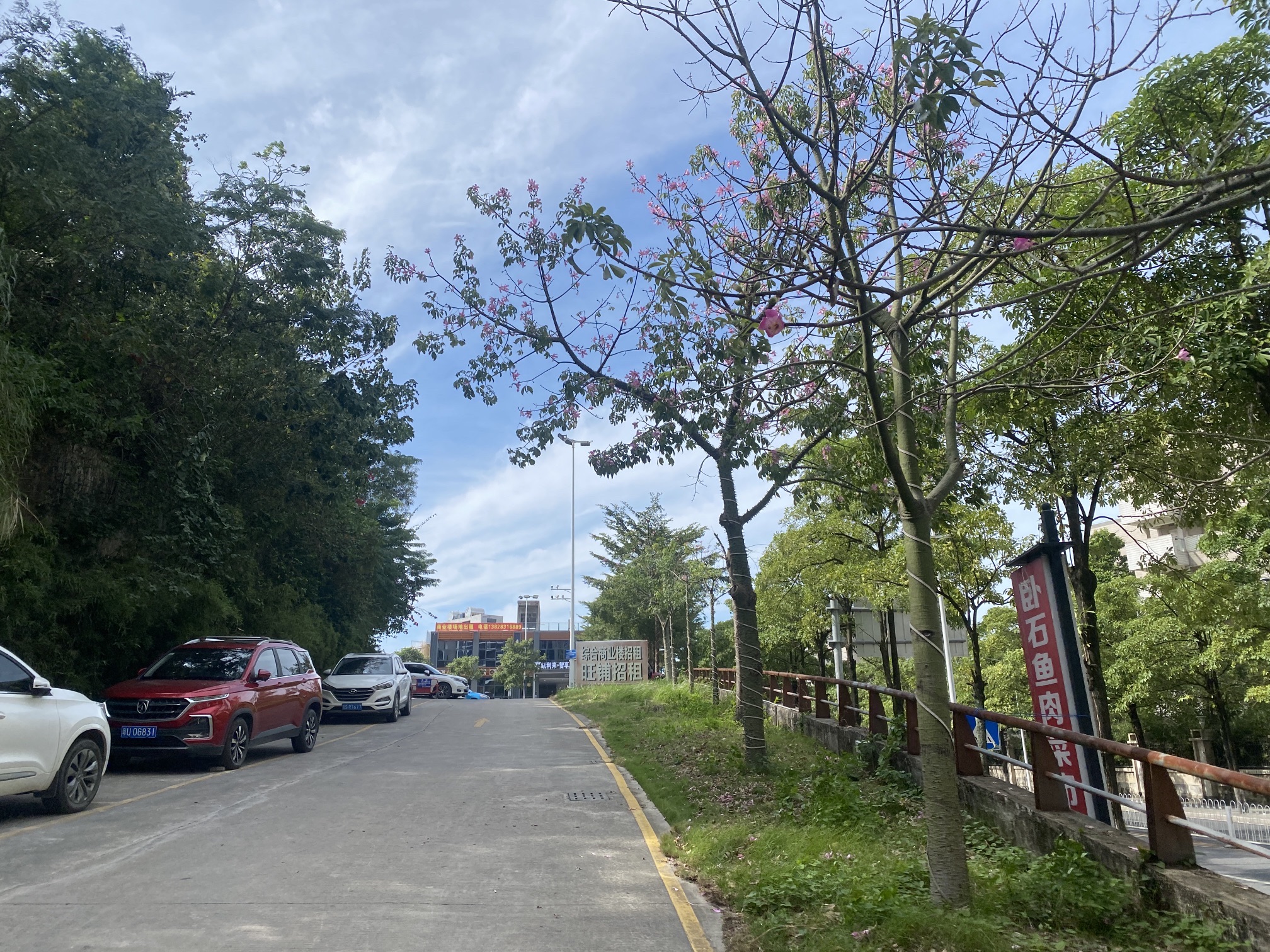 卧石村后头山公园旅行图片 2