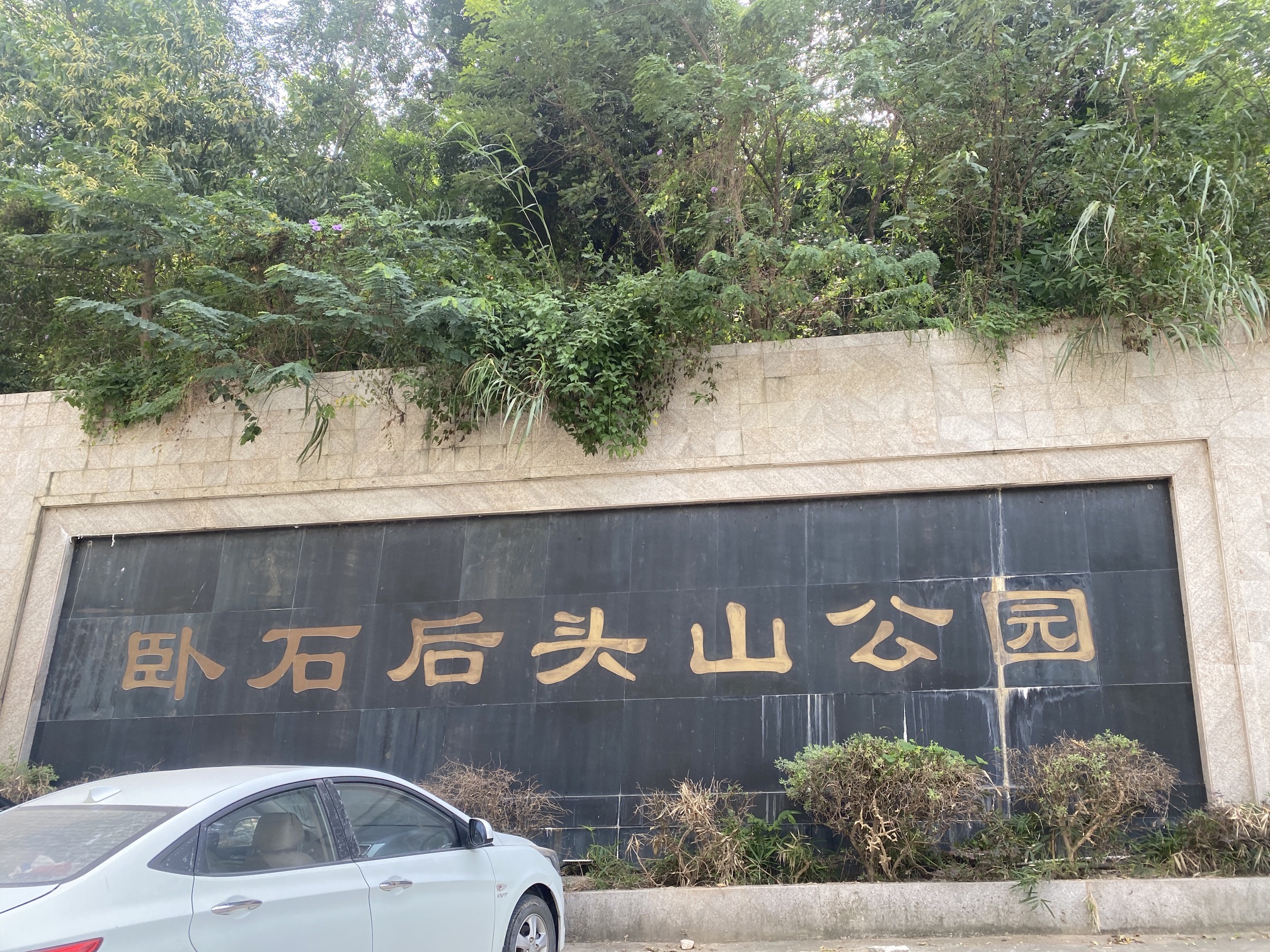卧石村后头山公园旅行图片 1