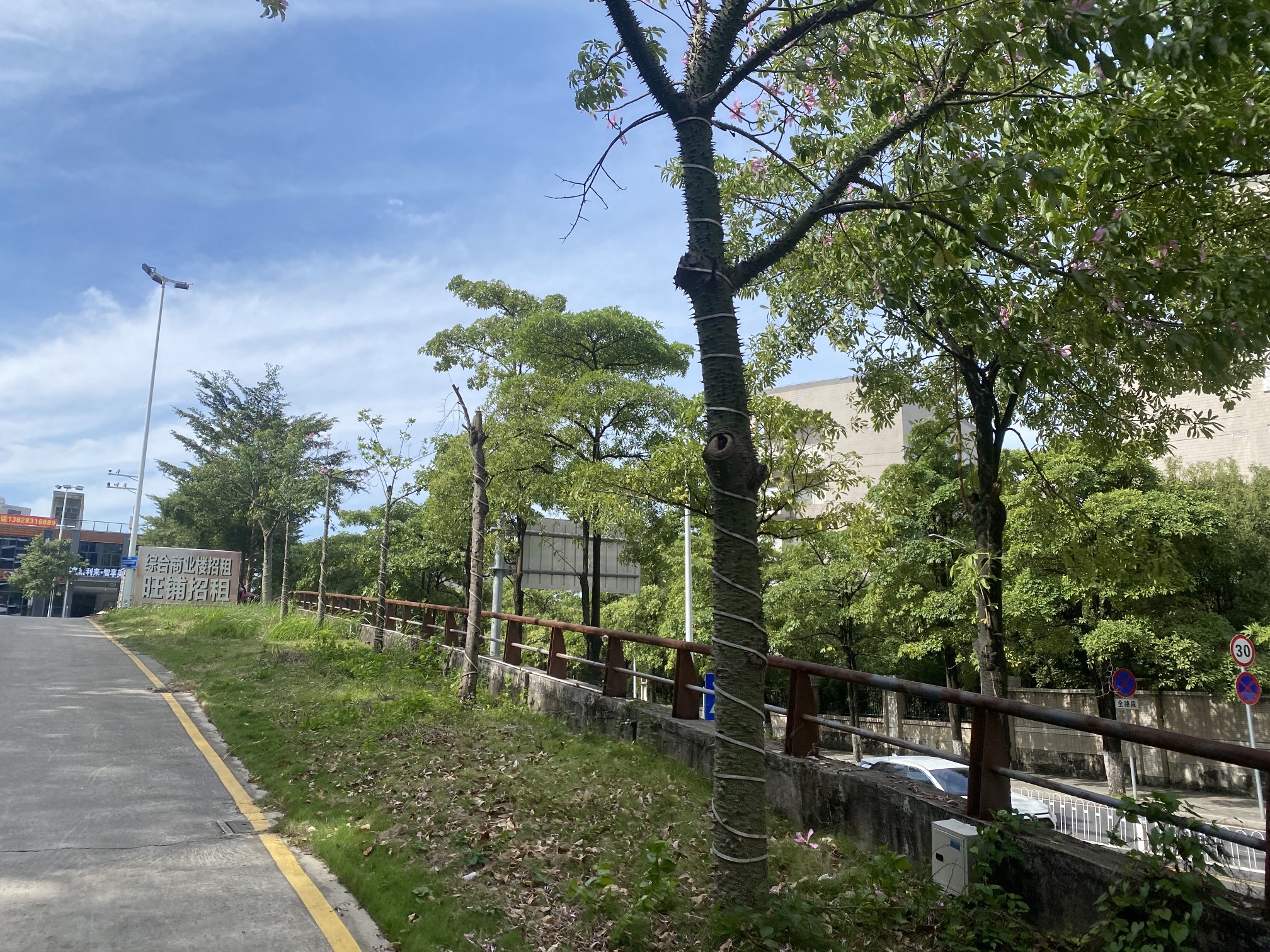 卧石村后头山公园旅行图片 3