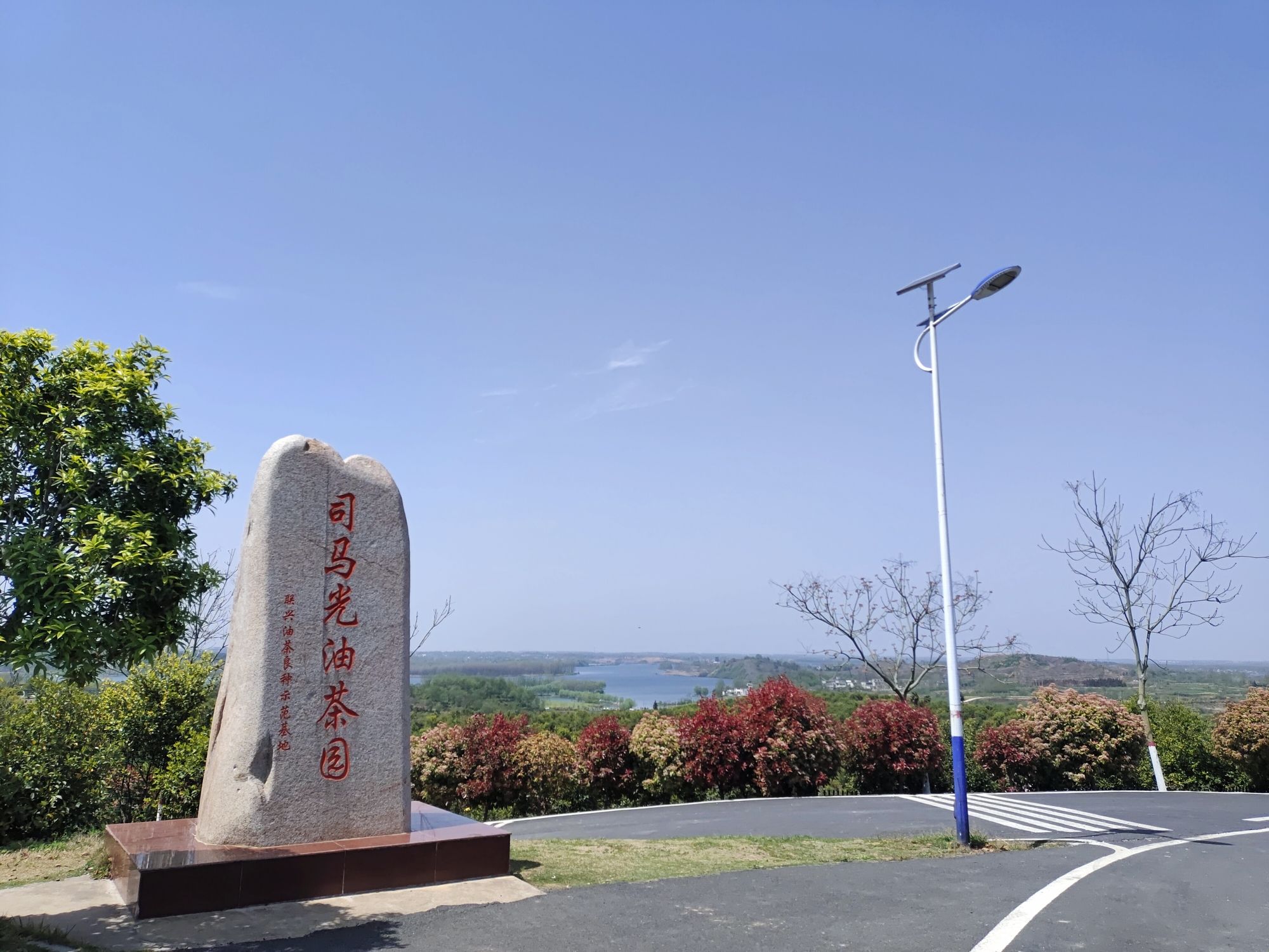 司马光油茶园旅行图片 1