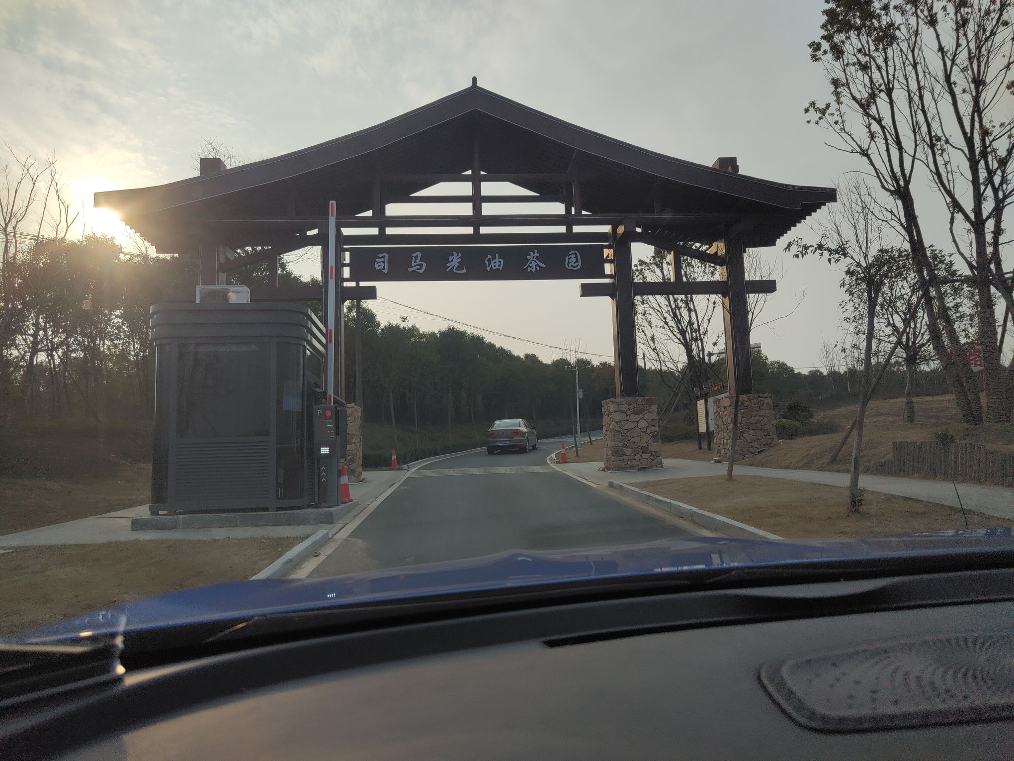 司马光油茶园旅行图片 1