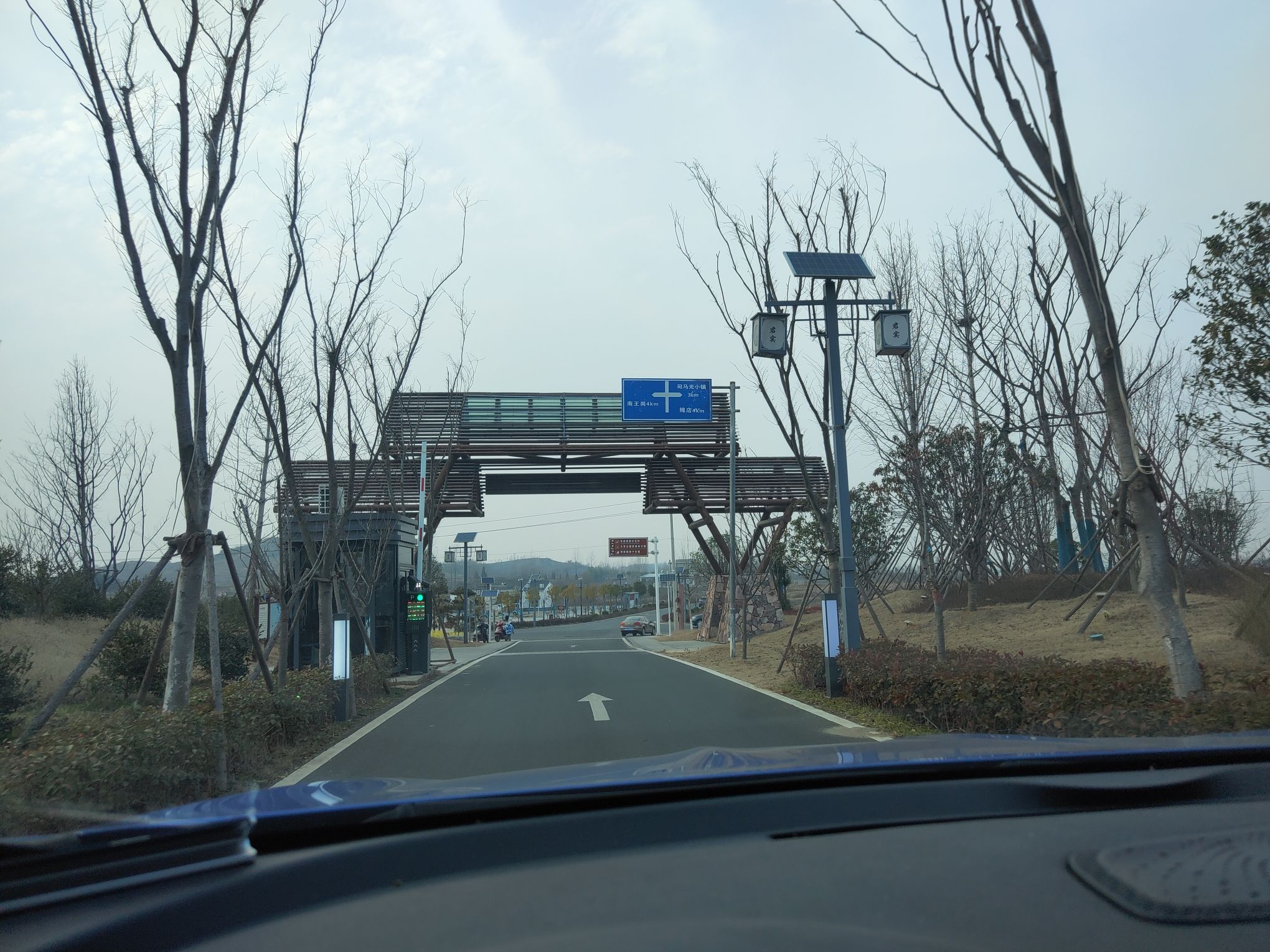 司马光油茶园旅行图片 2