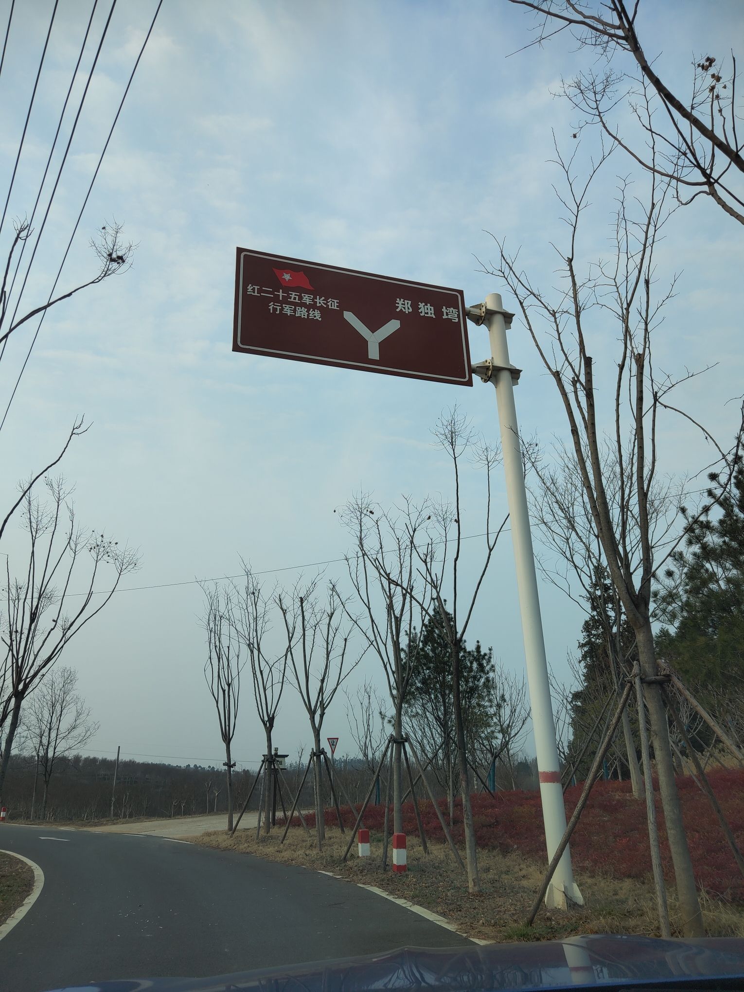 司马光油茶园旅行图片 3