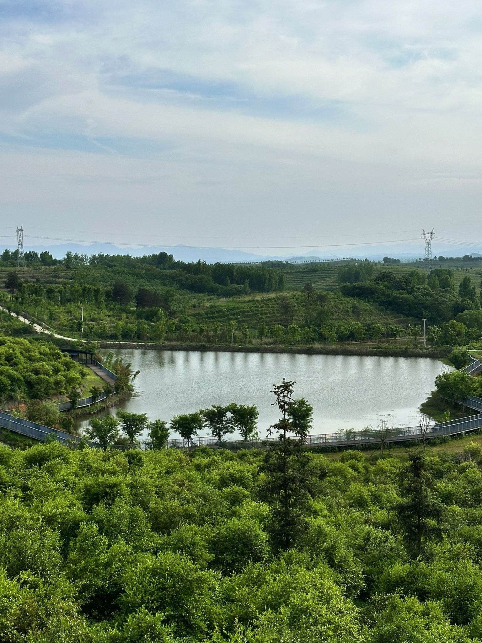 司马光油茶园旅行图片 1