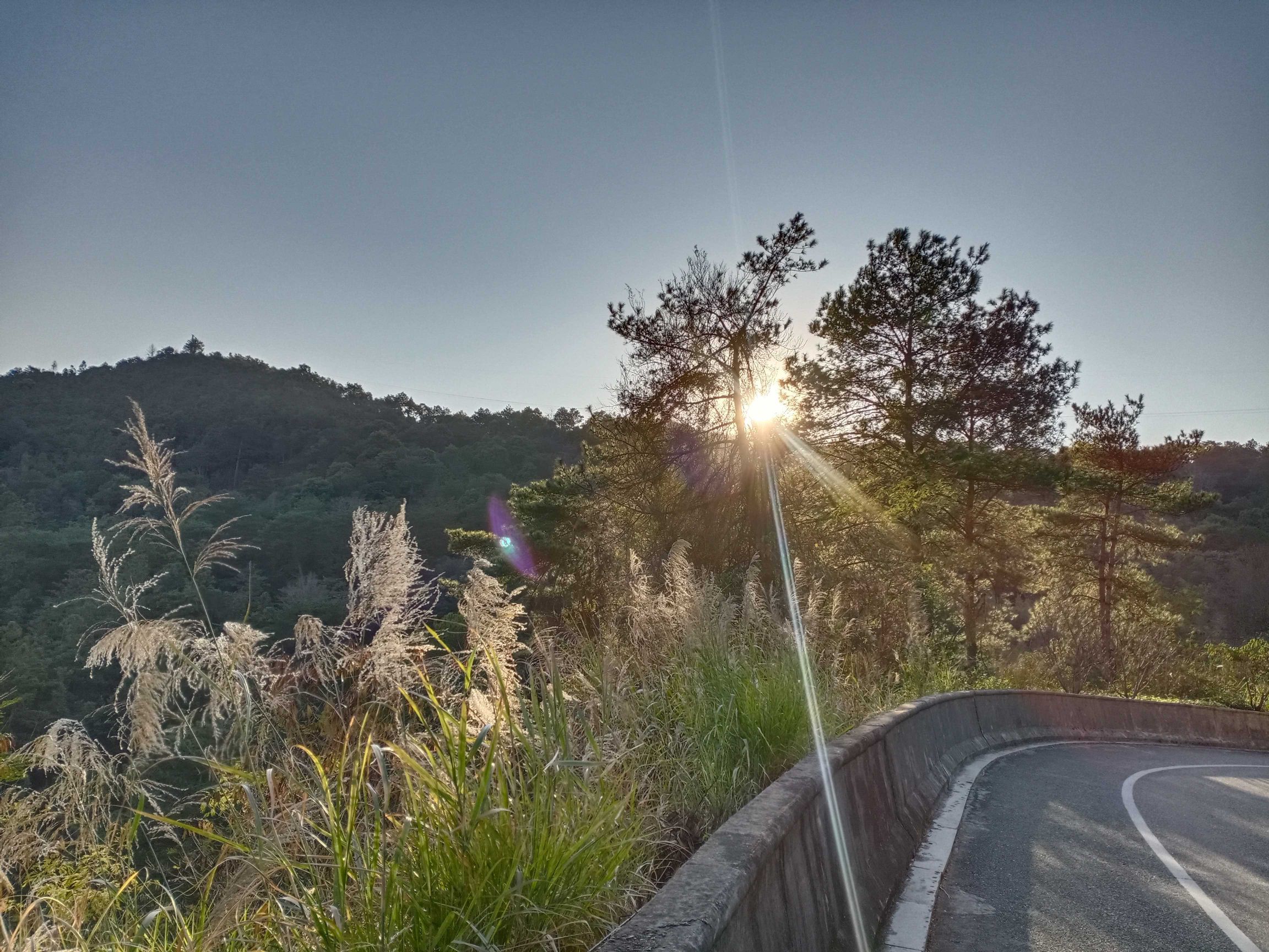 中央苏区公园旅行图片 1