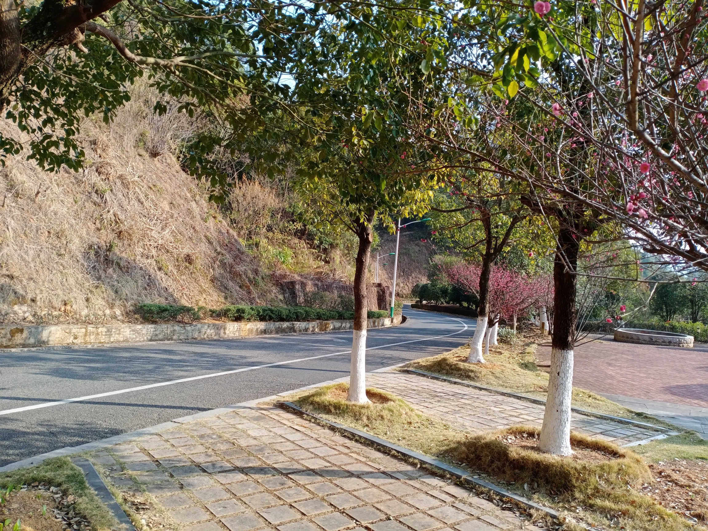 中央苏区公园旅行图片 2