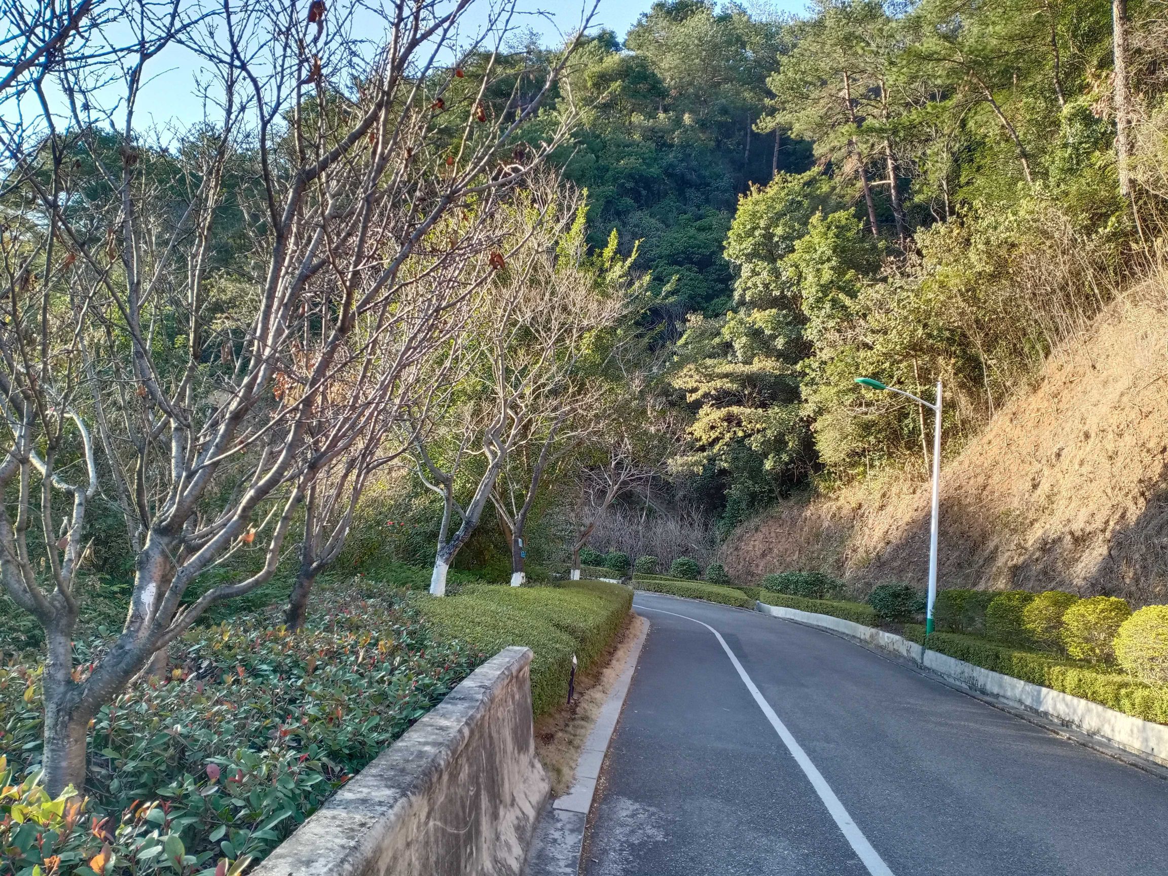中央苏区公园旅行图片 3