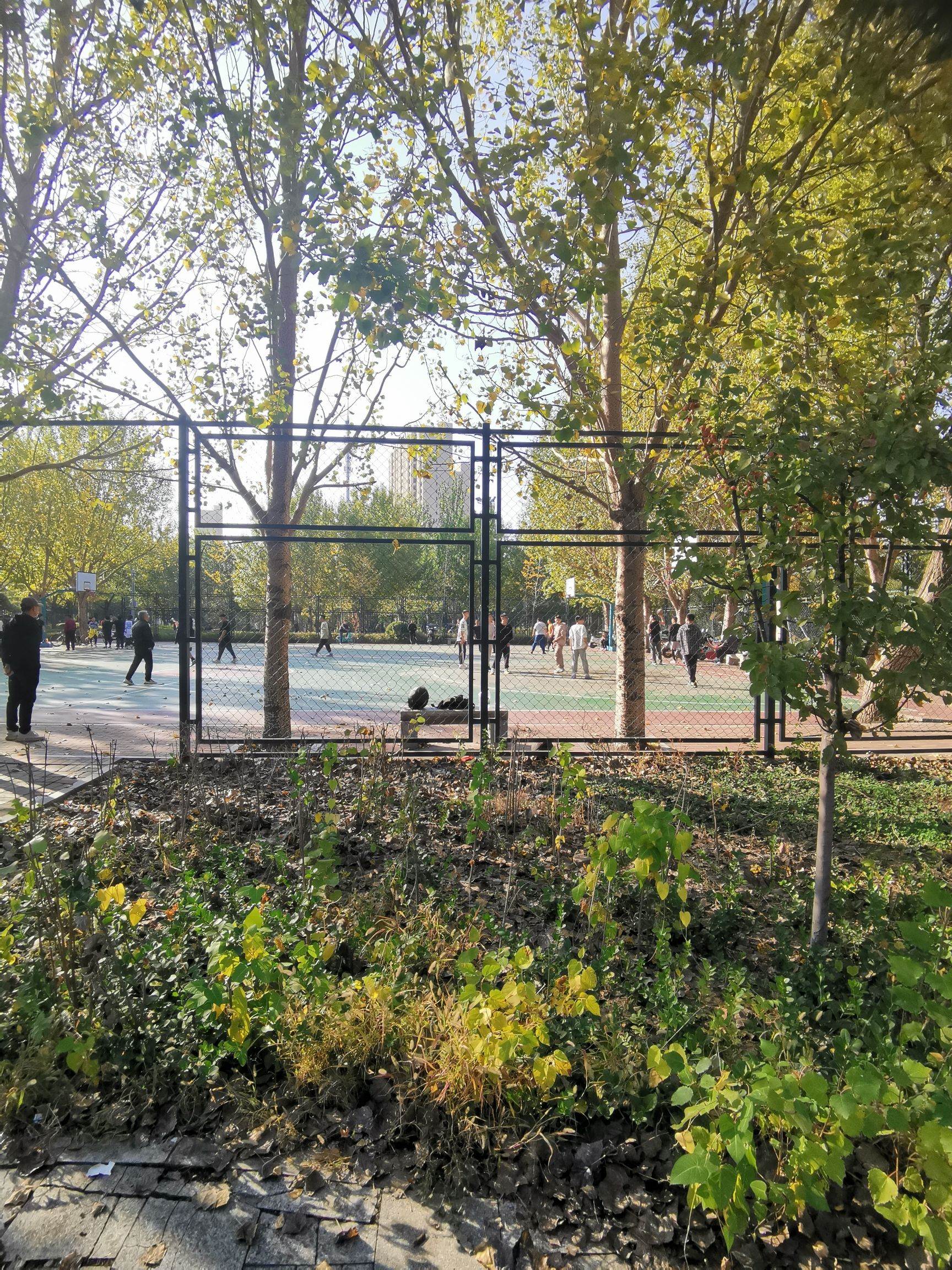 沈阳市铁西区劳动公园-南园