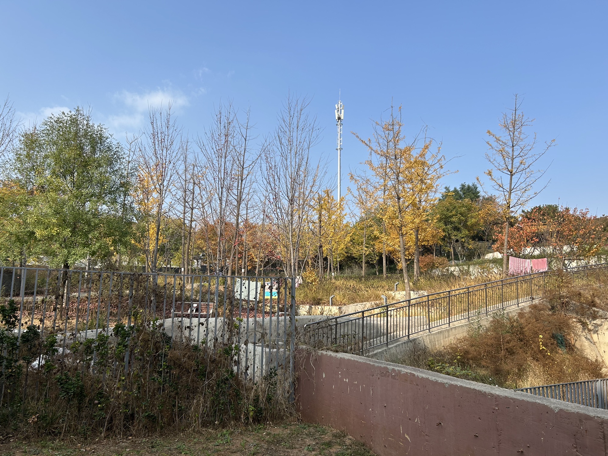 芳菲园旅行图片 3