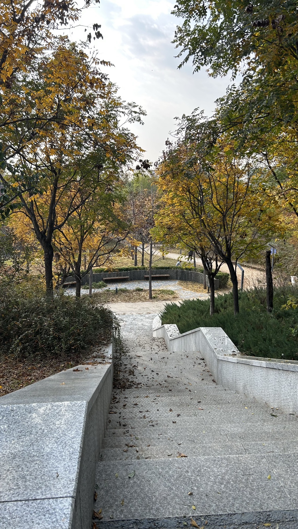 芳菲园旅行图片 2