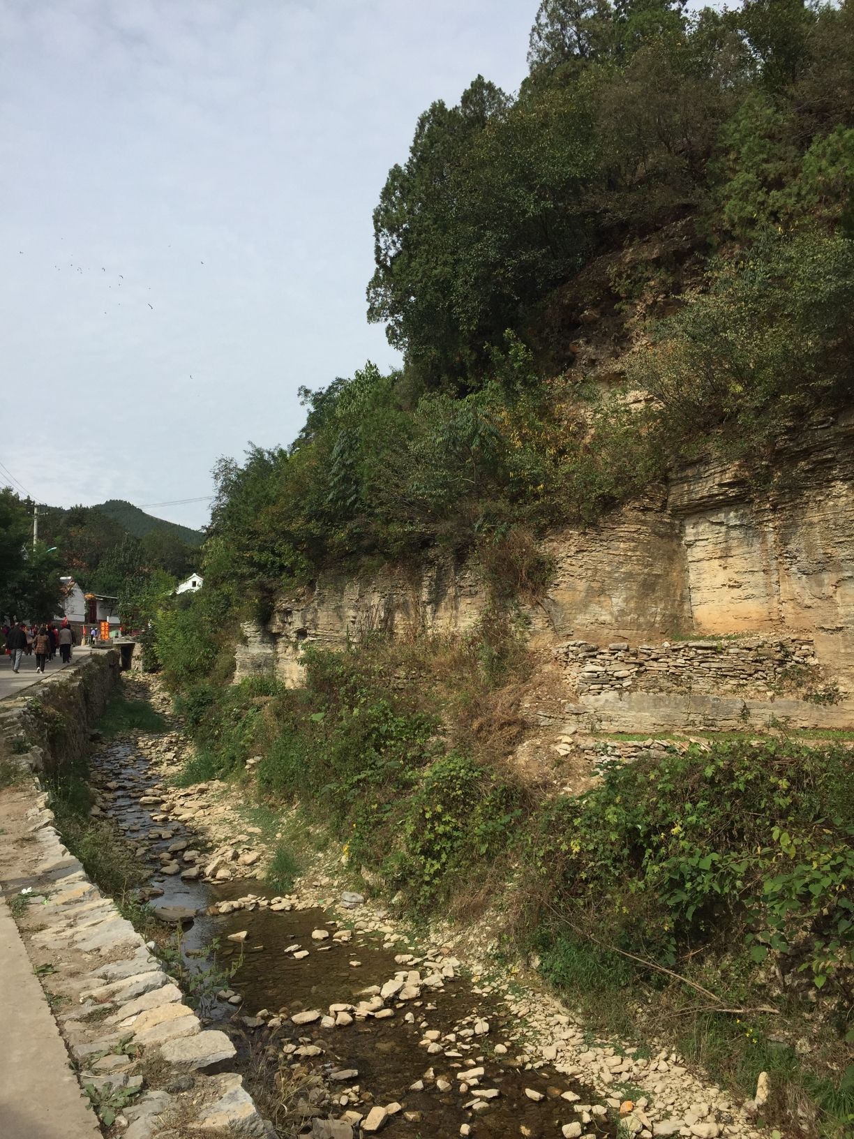 鹿鸣溪谷·柿子沟旅行图片 2